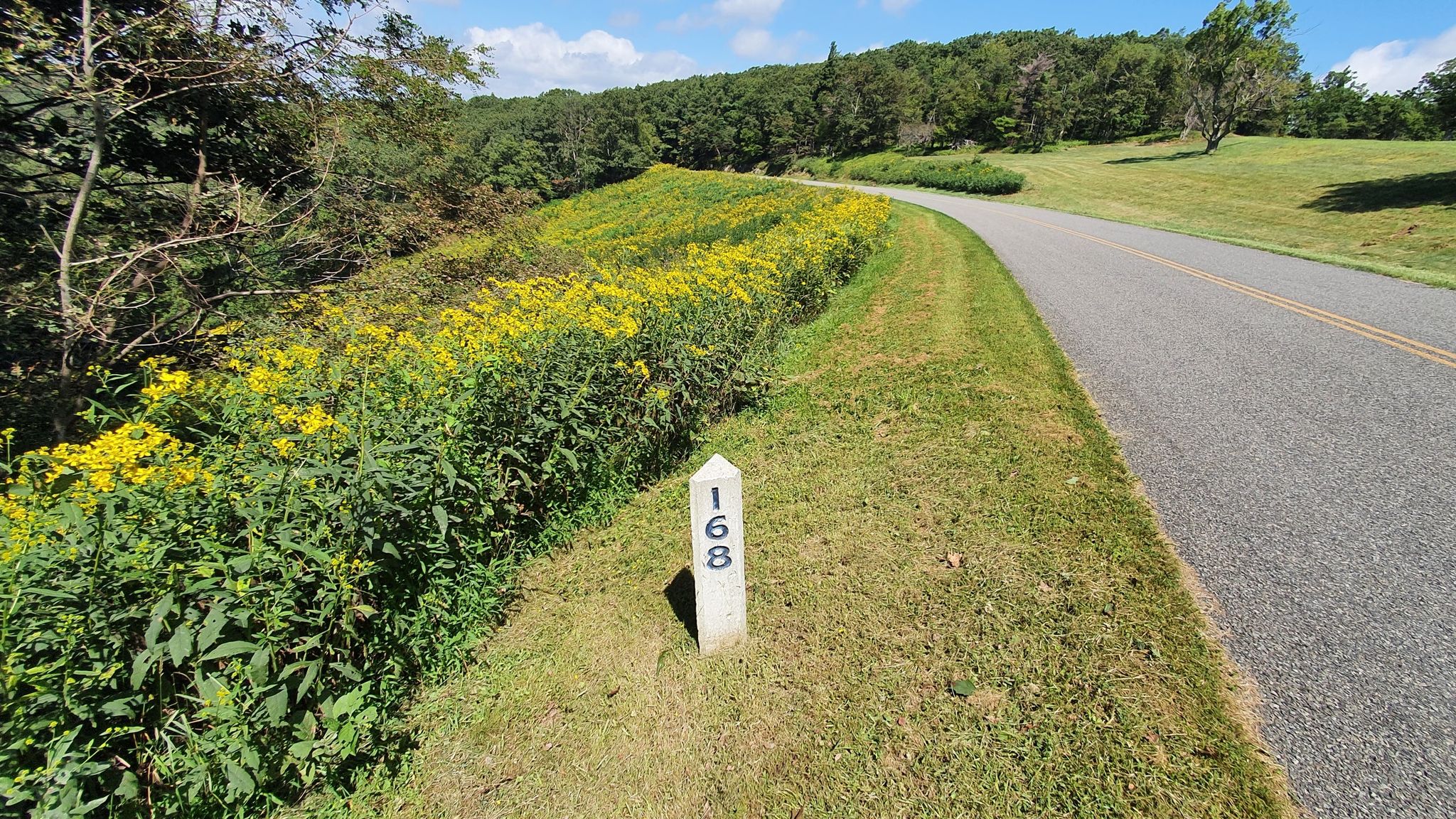 A white roadside marker next to a paved road and bright yellow flowers. - Rocky Knob Recreation Area to Roanoke Mountain Loop Road
