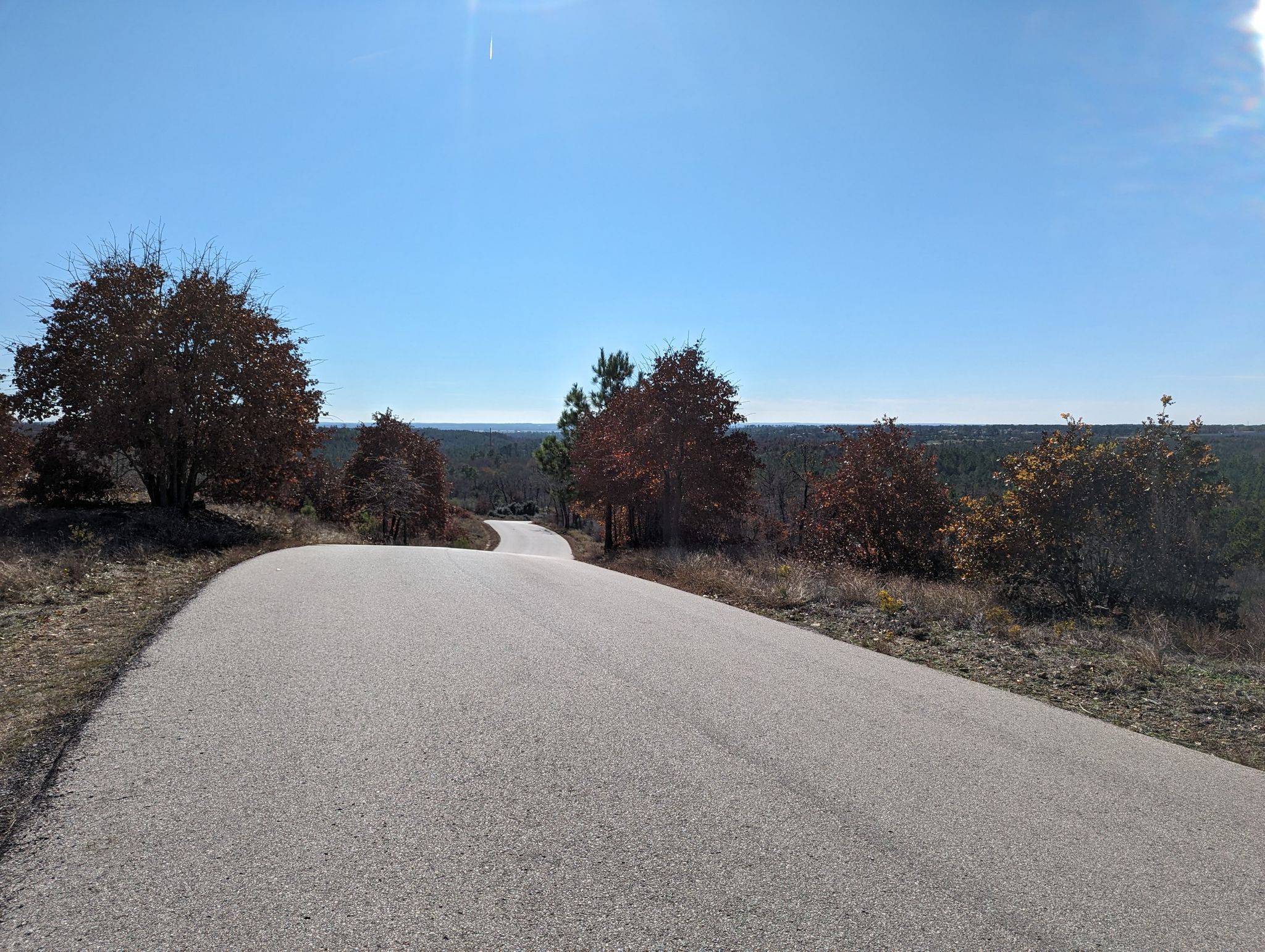 Road curving uphill through a hilly, forested landscape under a bright sky. - Bastrop State Park – Bastrop State Park Scenic Road loop from Antioch