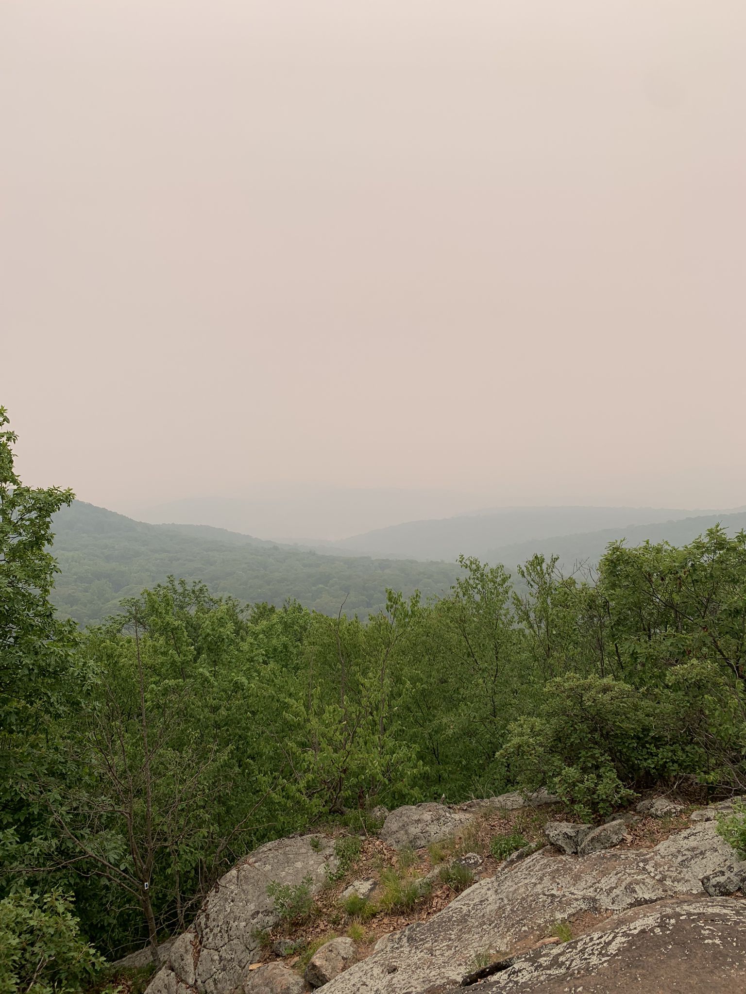 Hazy mountain vista with dense green trees under an overcast sky. - Ramapo Torne loop from Reeves Meadow Visitors Center