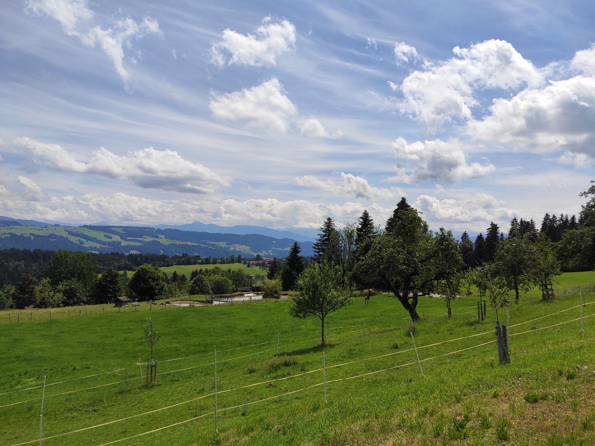 Ponyhof Scheidegg