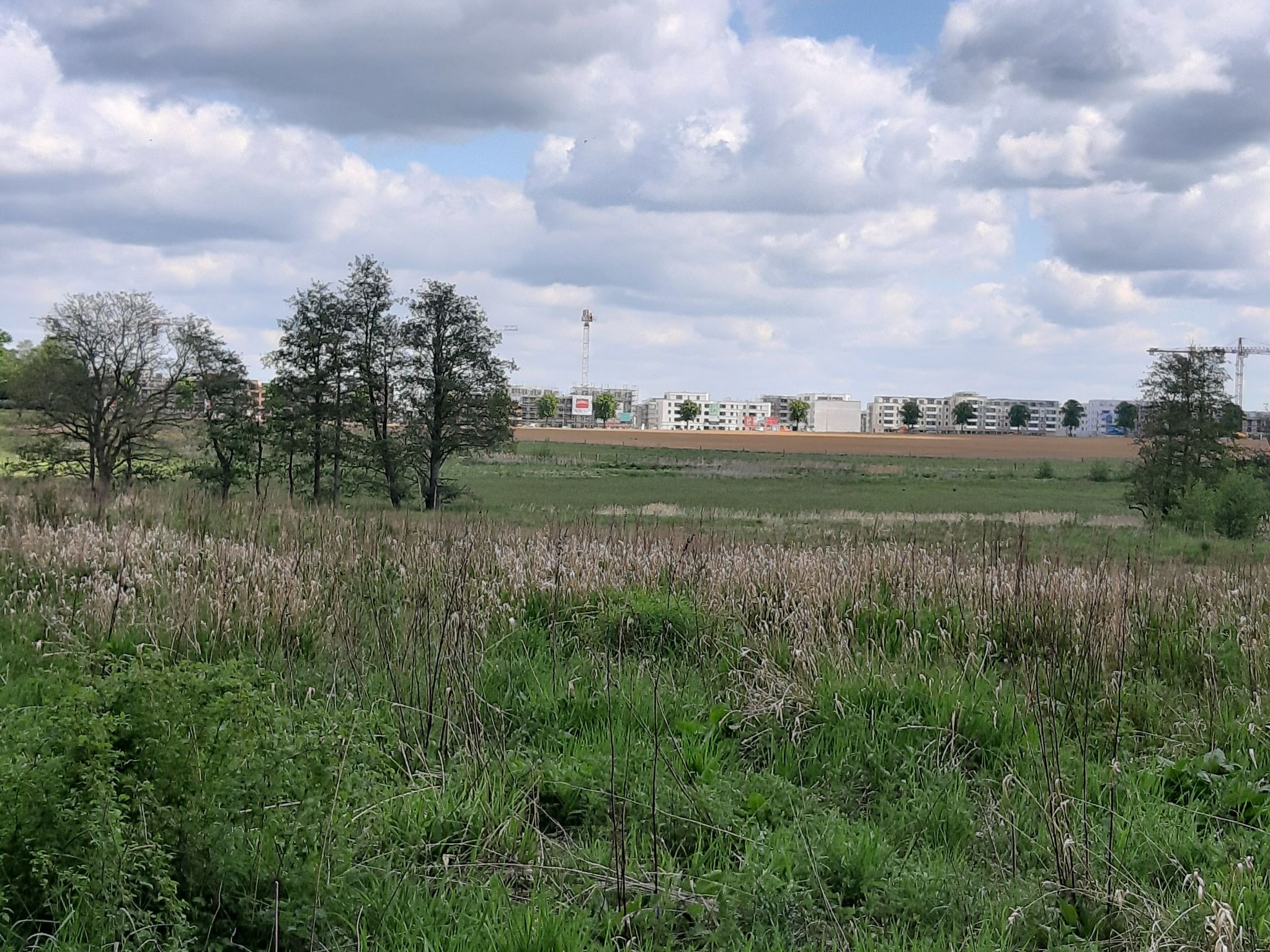 Steimkerberg 