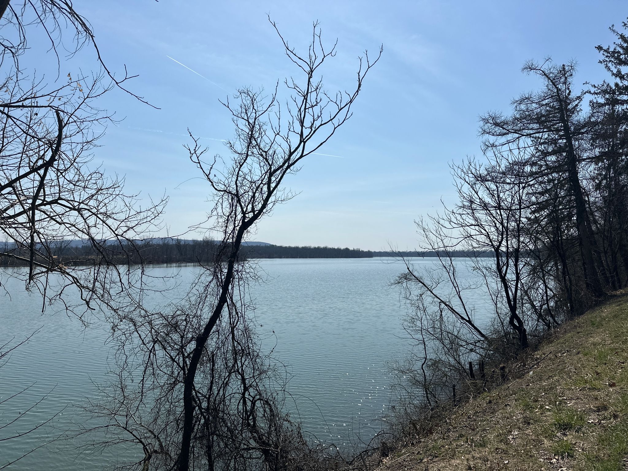 View of a calm lake through bare winter trees on a bright day. - West Shore Drive Trail