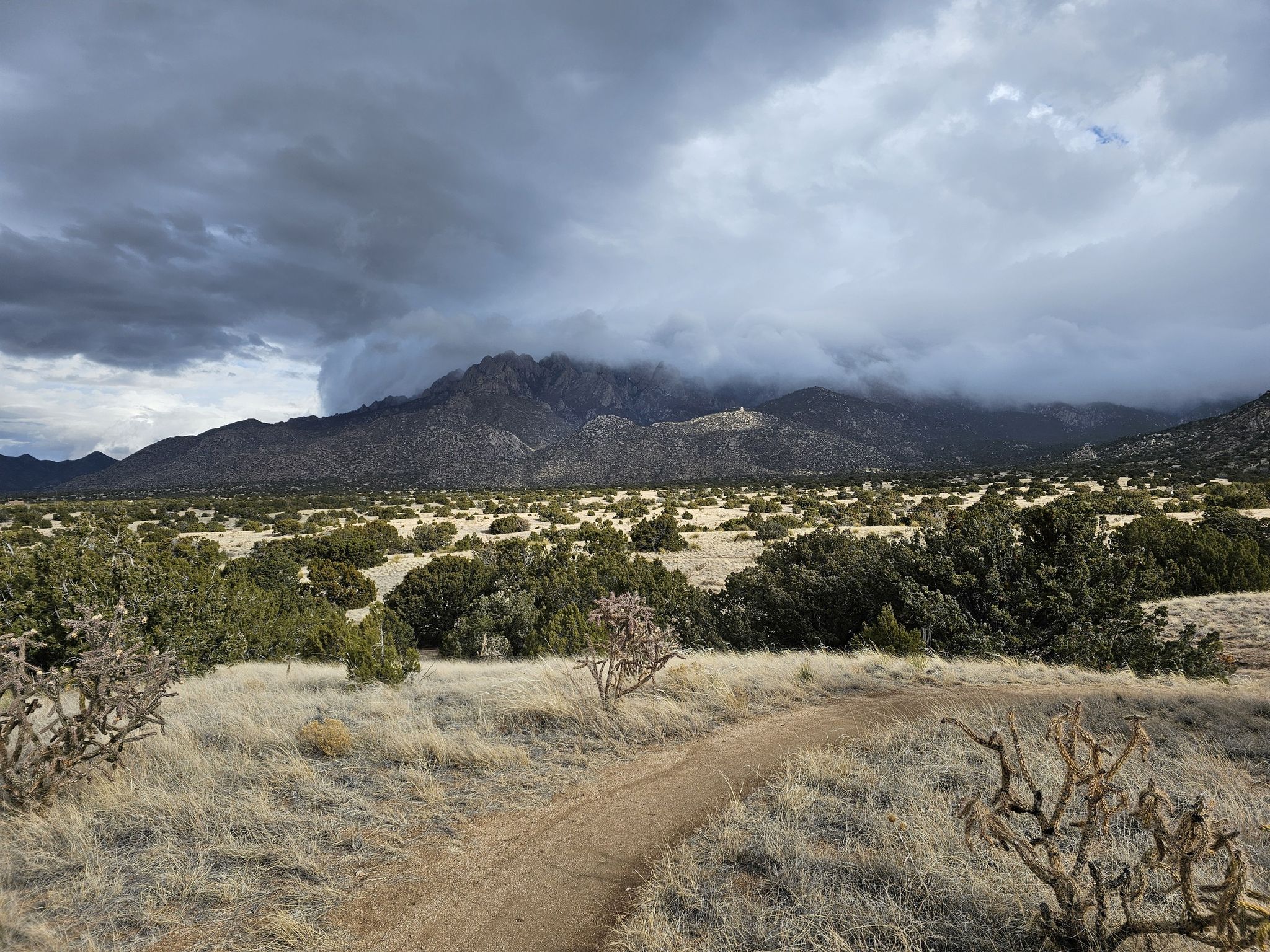 A dirt path leads through arid scrubland towards cloud-covered mountains under dark skies. - Michael Emery and Foothills Trail Loop