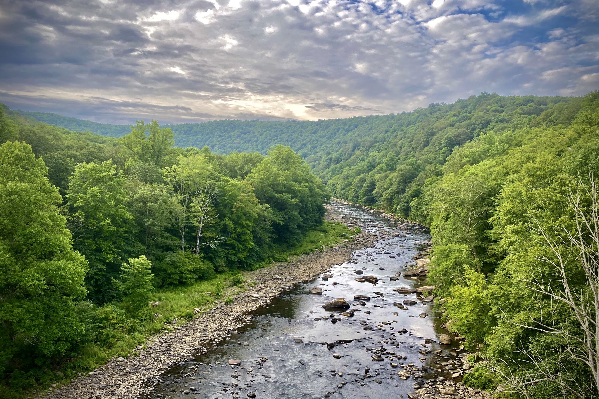 A rocky river flows through a lush green valley under a cloudy sky. - Big Savage Tunnel – Mason-Dixon Line Monument loop from Meadow Run Lake