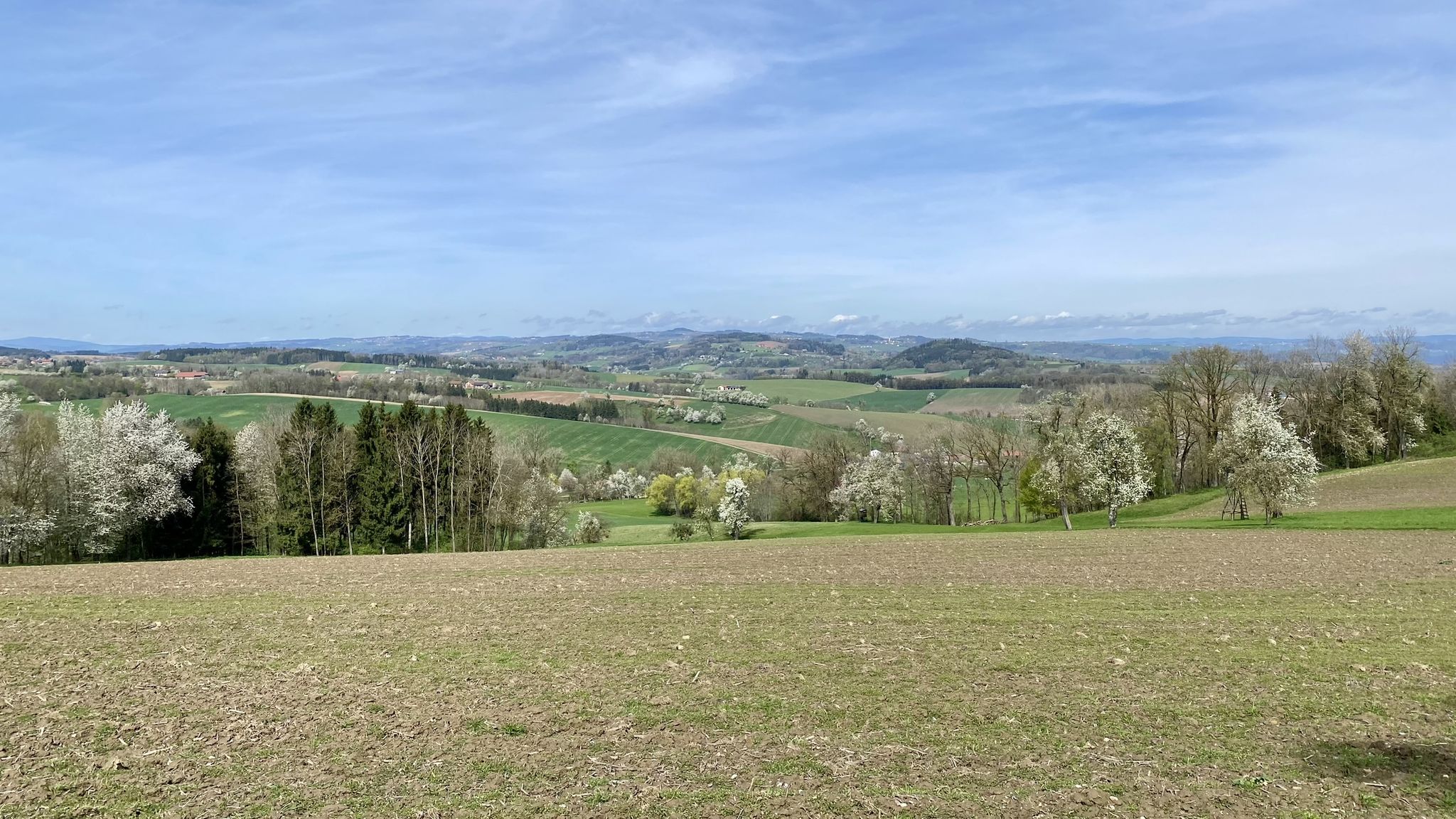 Ausblick Sommersberg: St. Agatha bis Stroheim