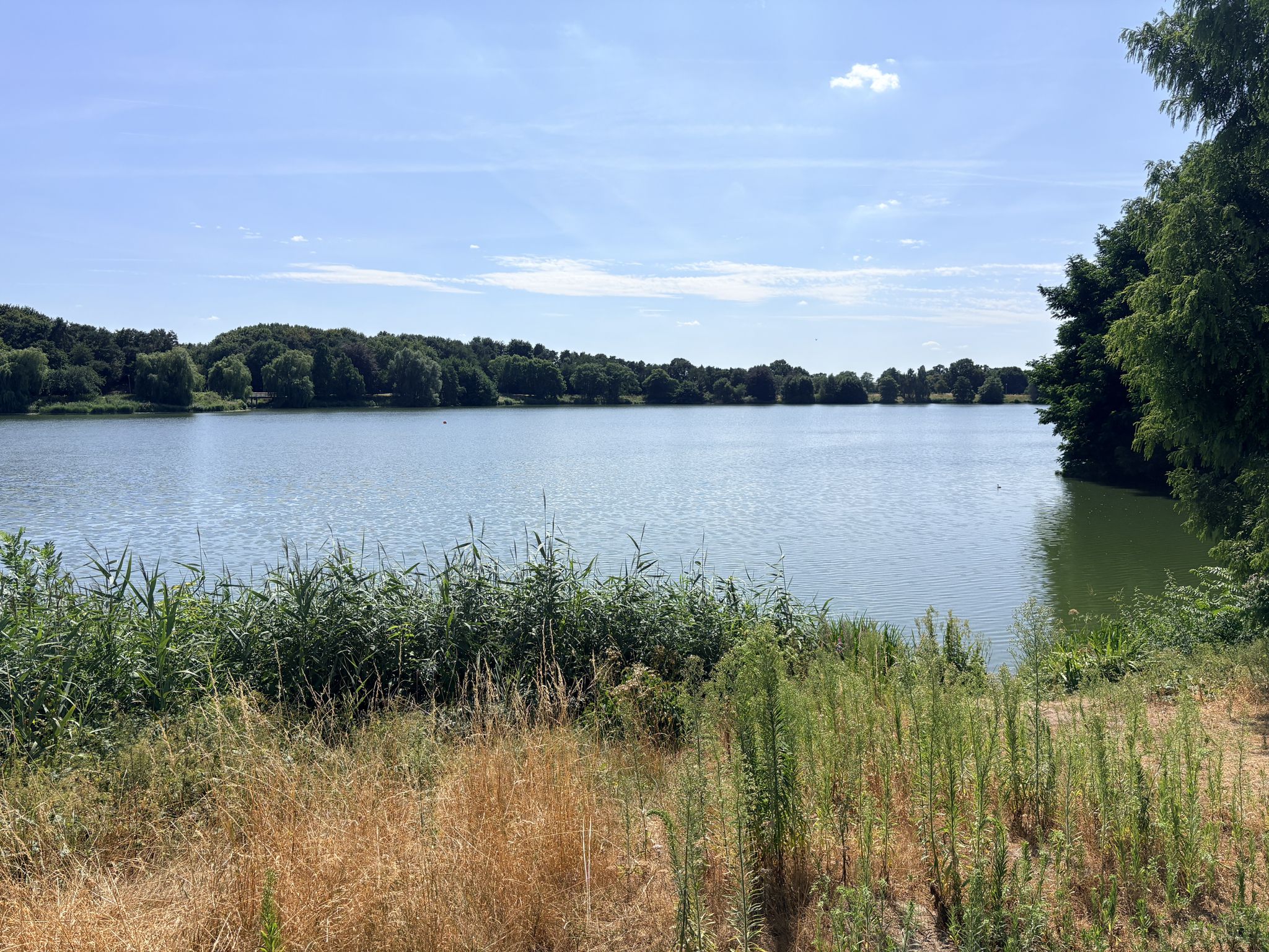 Blick auf den Aasee in Bocholt