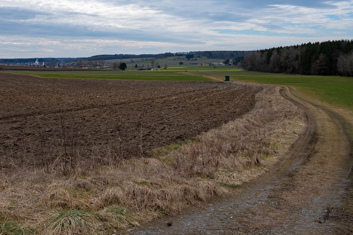 Blick nach Steinhausen