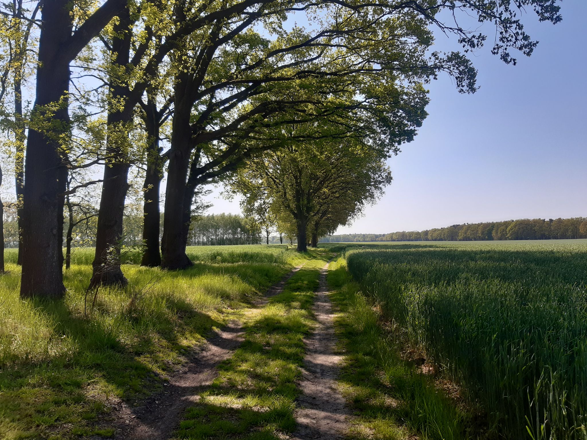 Auf nach Weyhausen