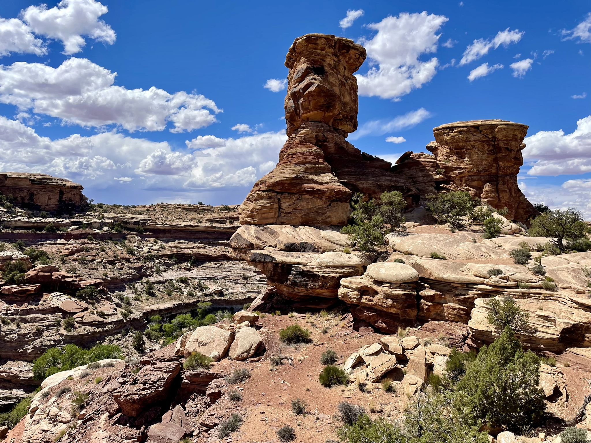 Towering rock formations and desert shrubs under a bright blue sky with clouds. - Confluence Overlook loop from Needles District