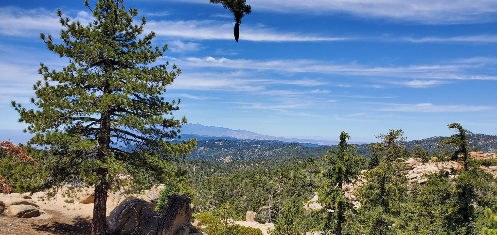Sunny mountain landscape with pine trees, distant peaks, and a bright blue sky. - Keller Peak via Exploration Trail