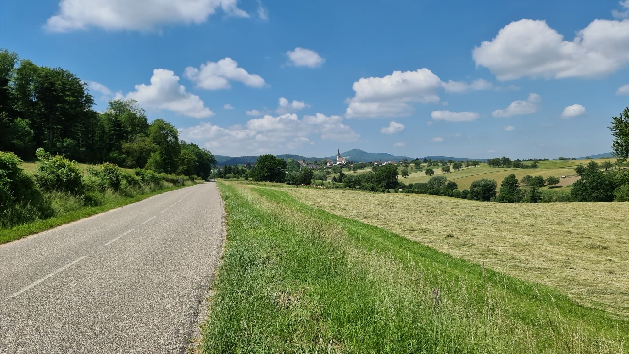 Strasse Biederthal - Wollschwiller (F)