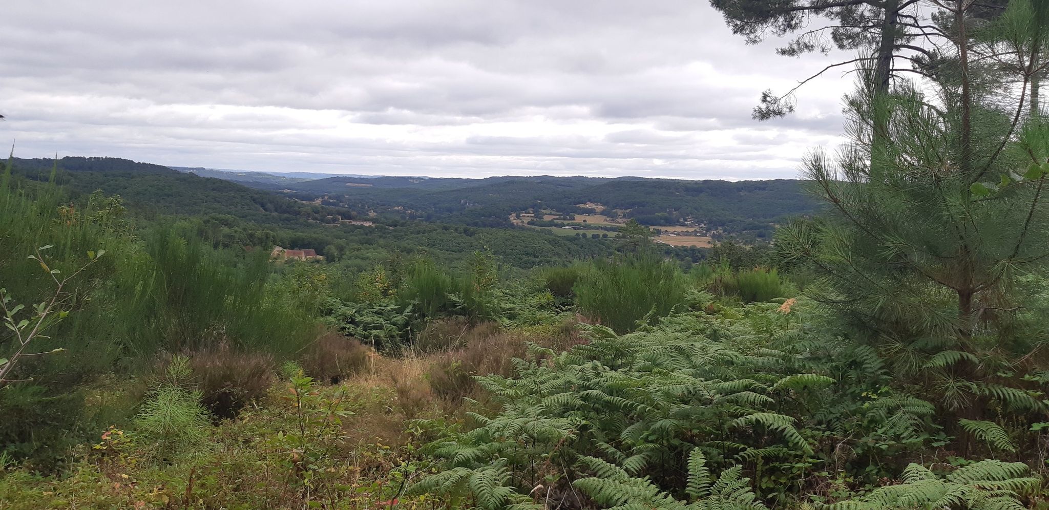 paysage magnifique!!!