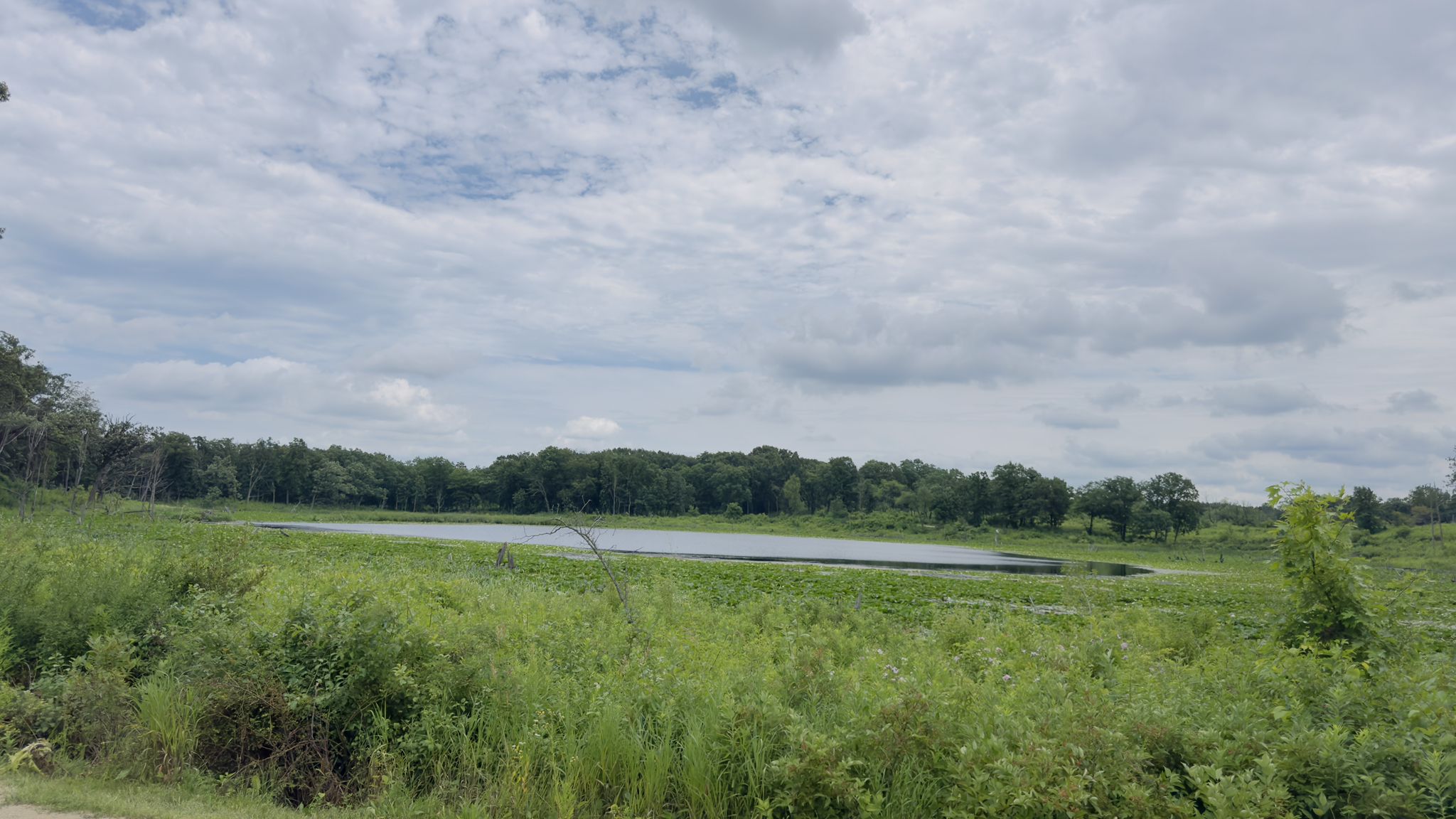A tranquil pond nestled within a vast green field under an overcast sky. - Schreiber Lake Loop
