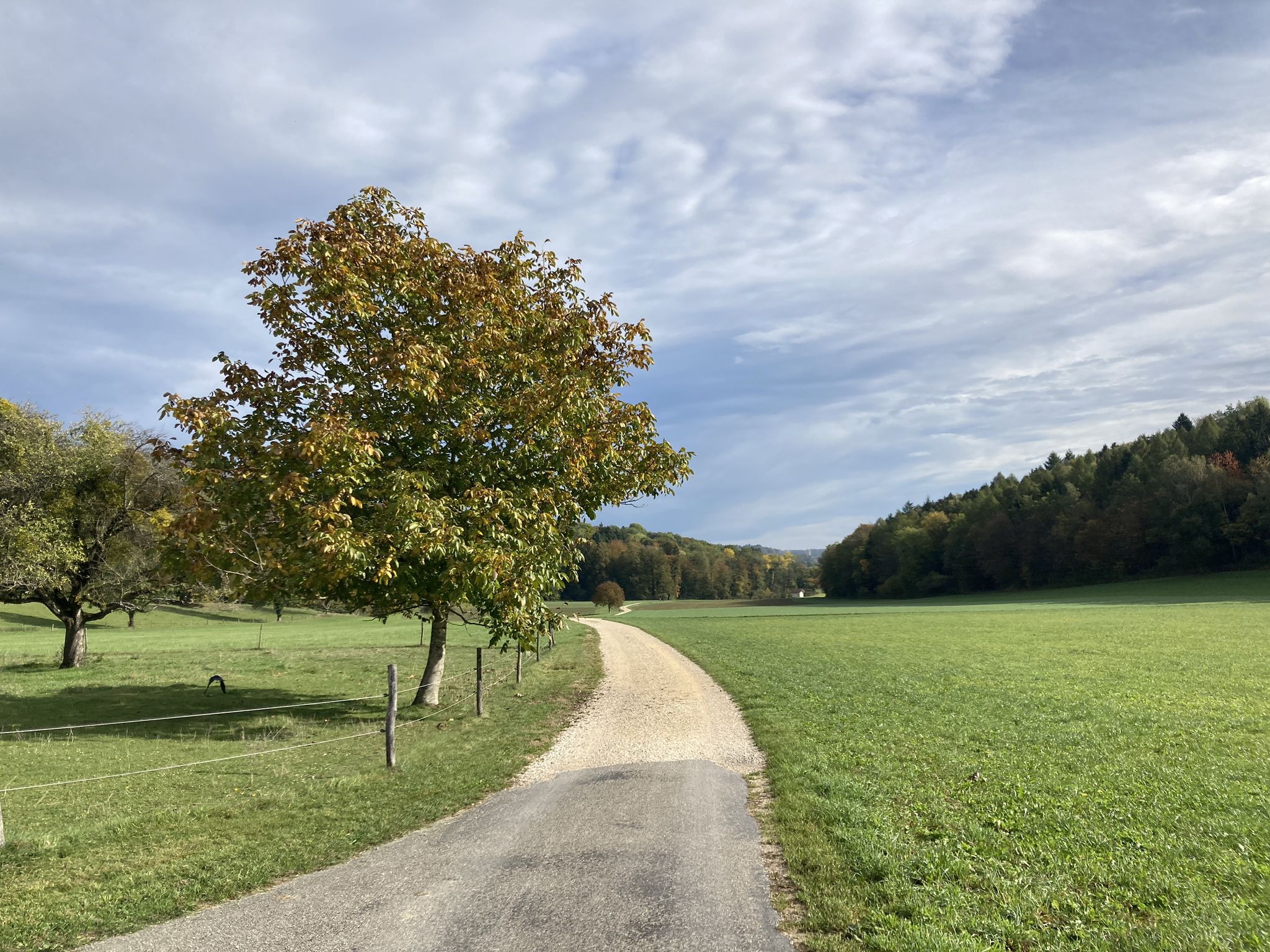 Der Weiher naht...