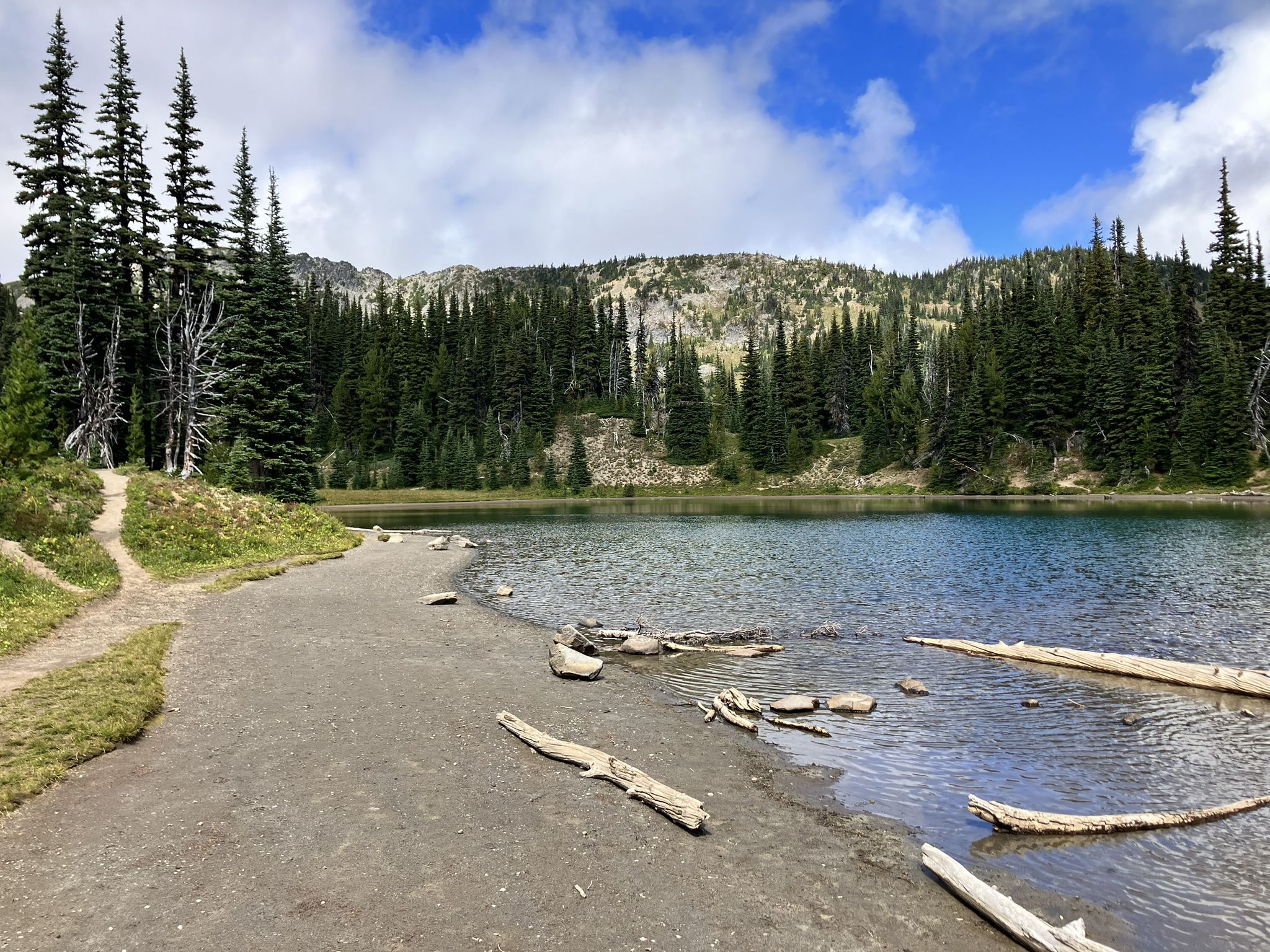 A clear lake with a sandy shore, surrounded by dense evergreen forest and mountains. - Shadow Lake Trail