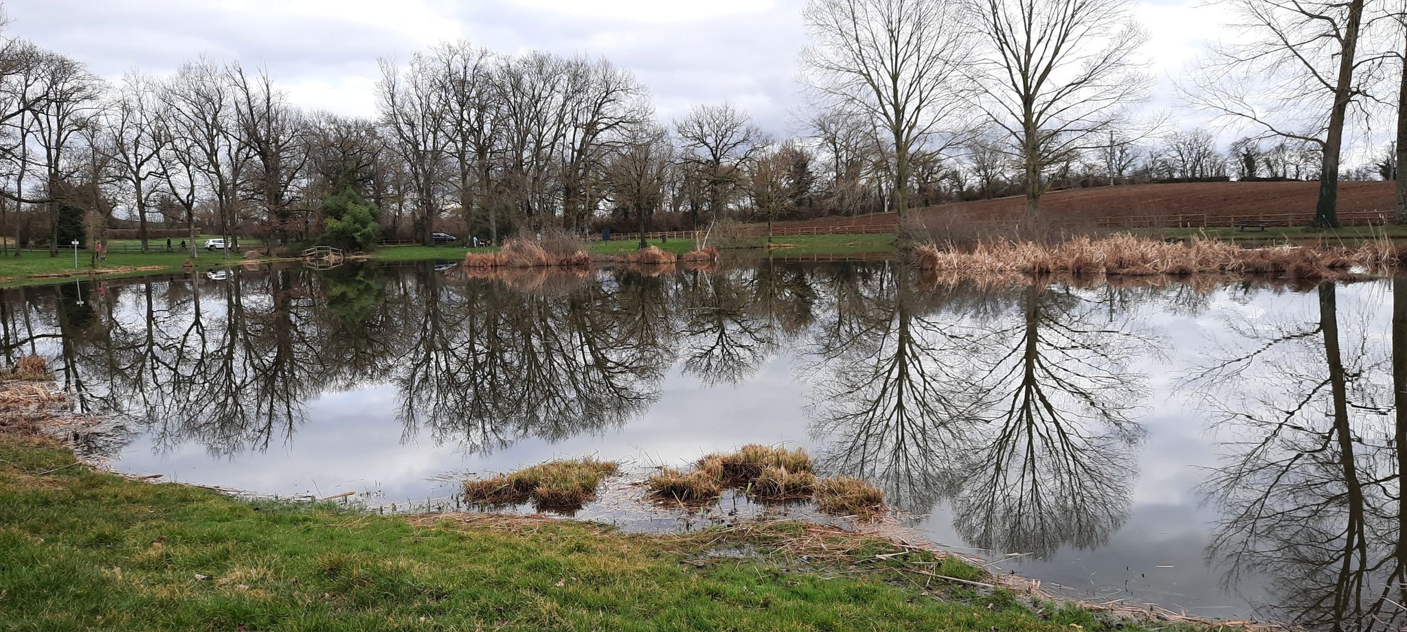 etang des portions