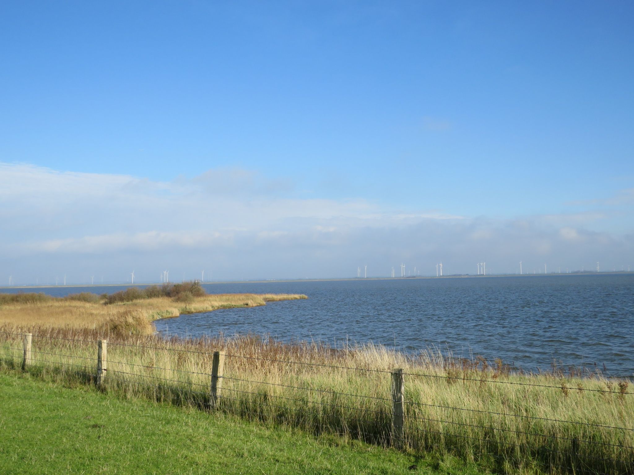 Salzwasserlagune