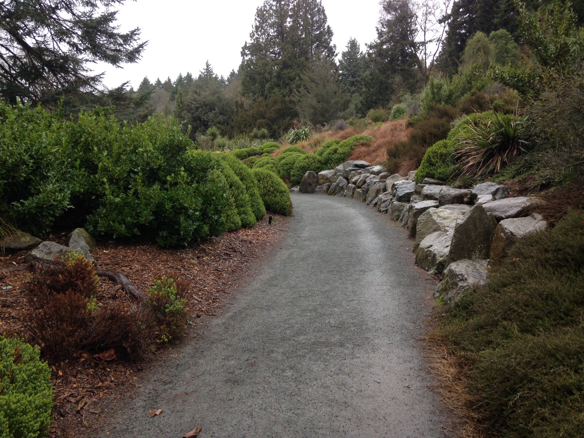 A winding gravel path through a lush garden with rocky borders. - Arboretum Loop Trail