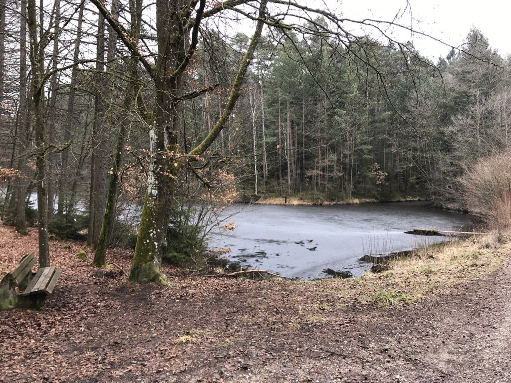 Viele kleine Seen im Reichswald