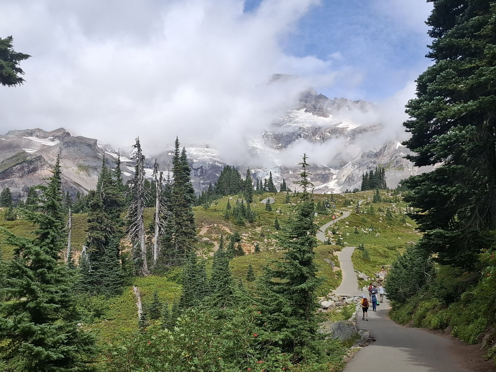Hikers on a paved path through a green forest, with a cloud-covered snowy mountain. - Skyline Trail Loop