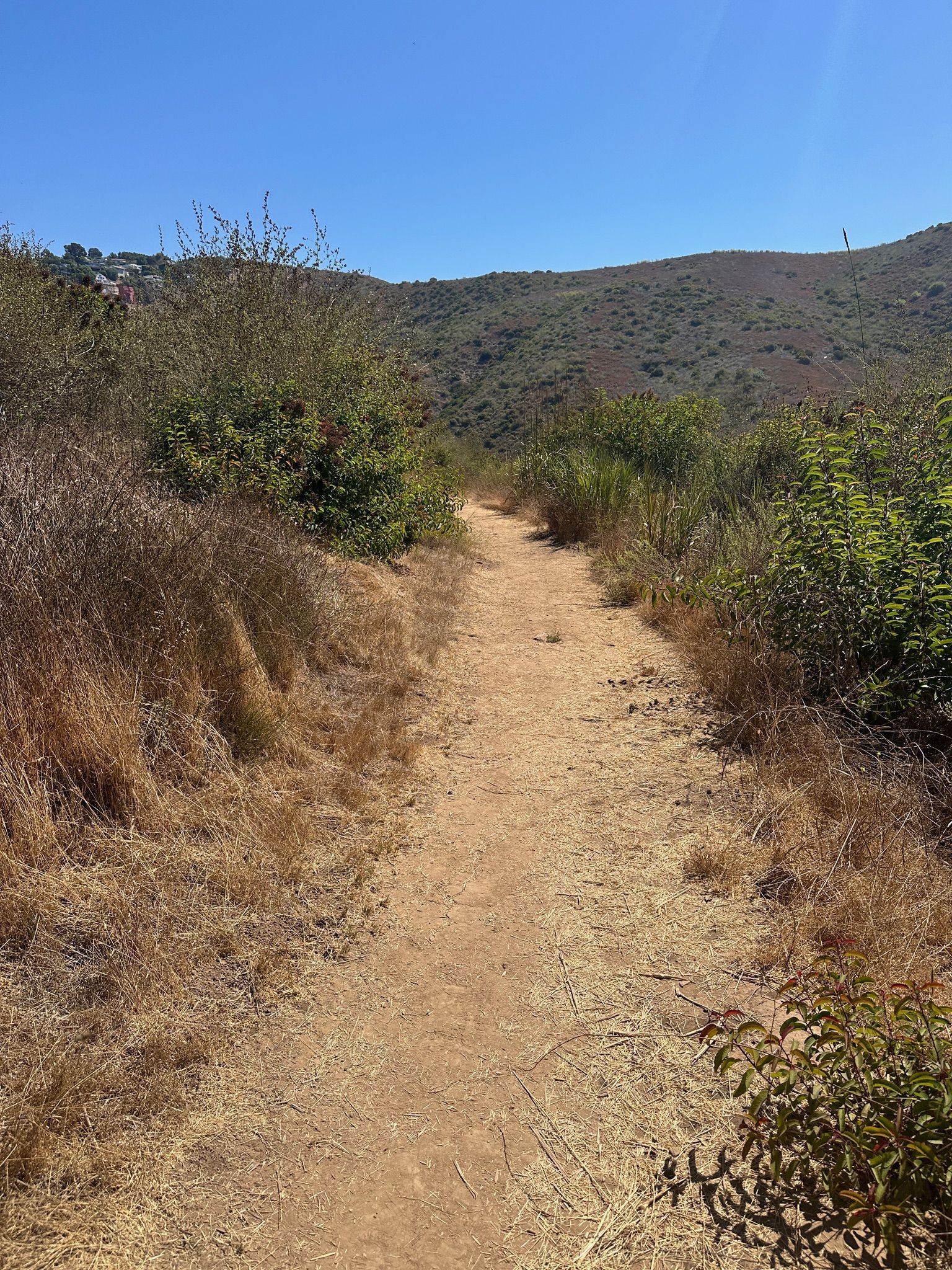 A sunny dirt path winds through dry, brushy hillsides under a clear sky. - TRW Loop Trail