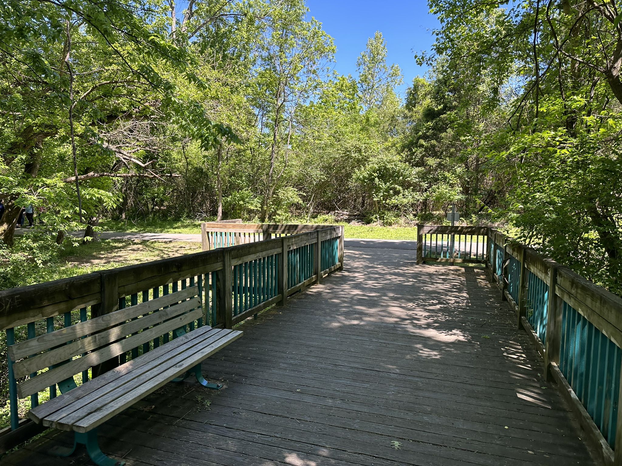 Wooden observation deck with a bench, surrounded by lush green trees. - Sevier Lake – Shelby Bottoms Greenway loop from East Nashville