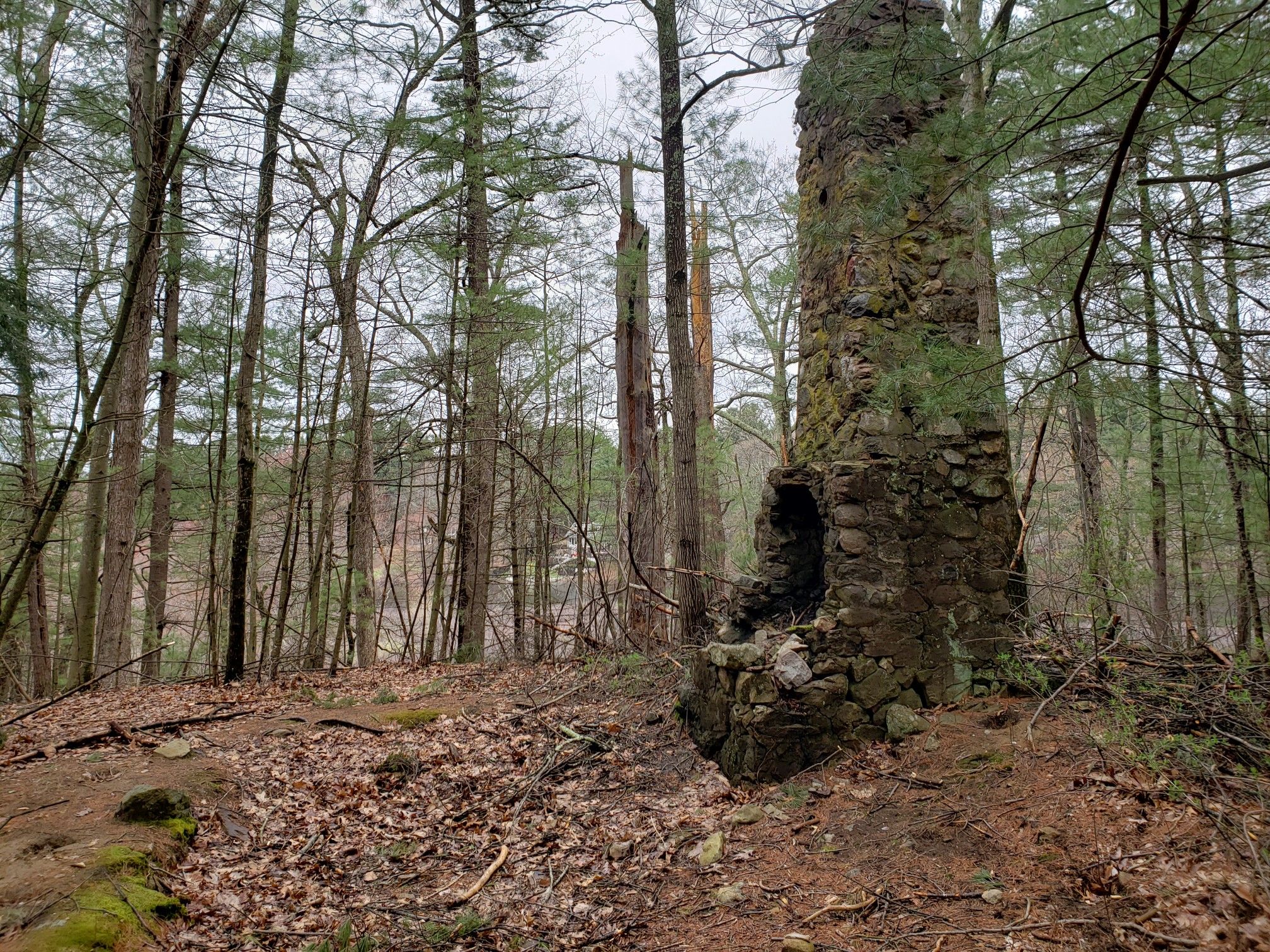 An old stone chimney ruin stands in a dense, overcast forest. - Fairhaven Trail and Andromeda Ponds Loop