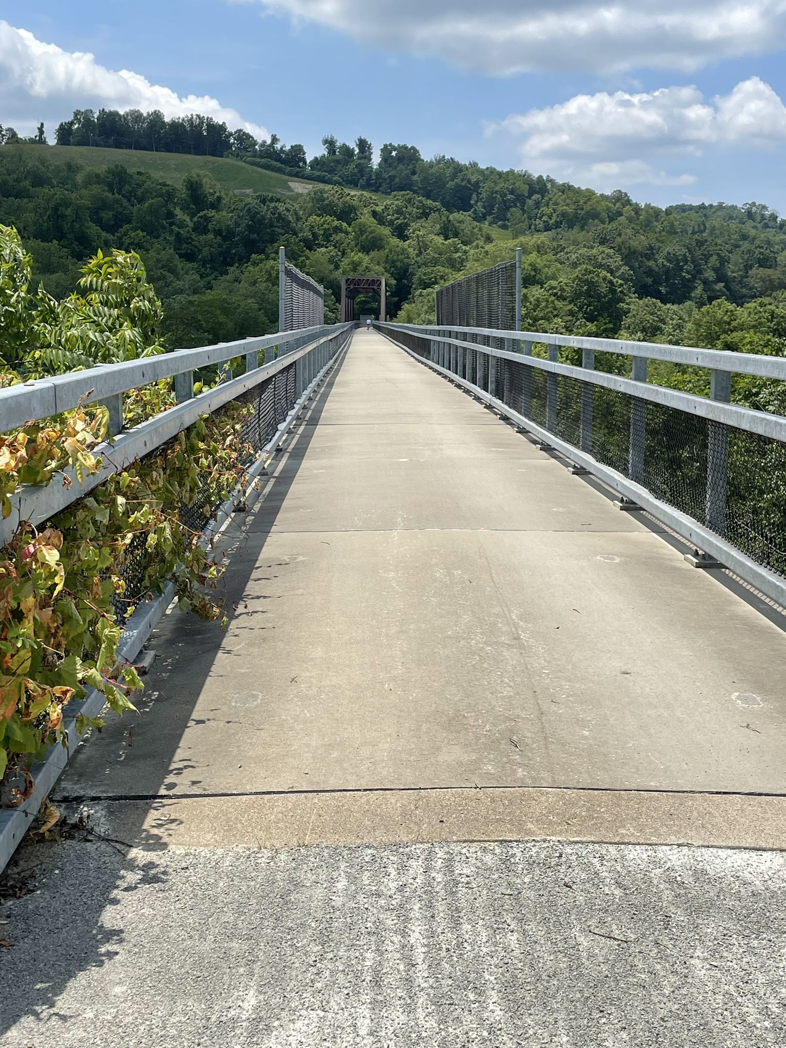Long concrete pathway with metal railings extending through green hills under a bright sky. - Montour Trail: McDonald to Venice
