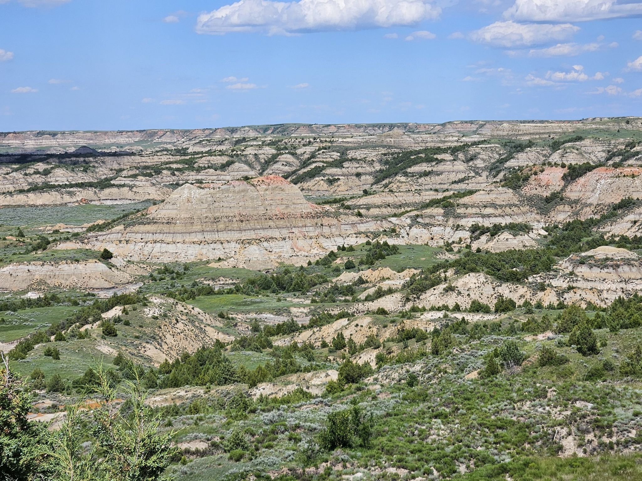 Vast badlands landscape with layered rock formations and green vegetation under blue sky. - Painted Canyon Trail