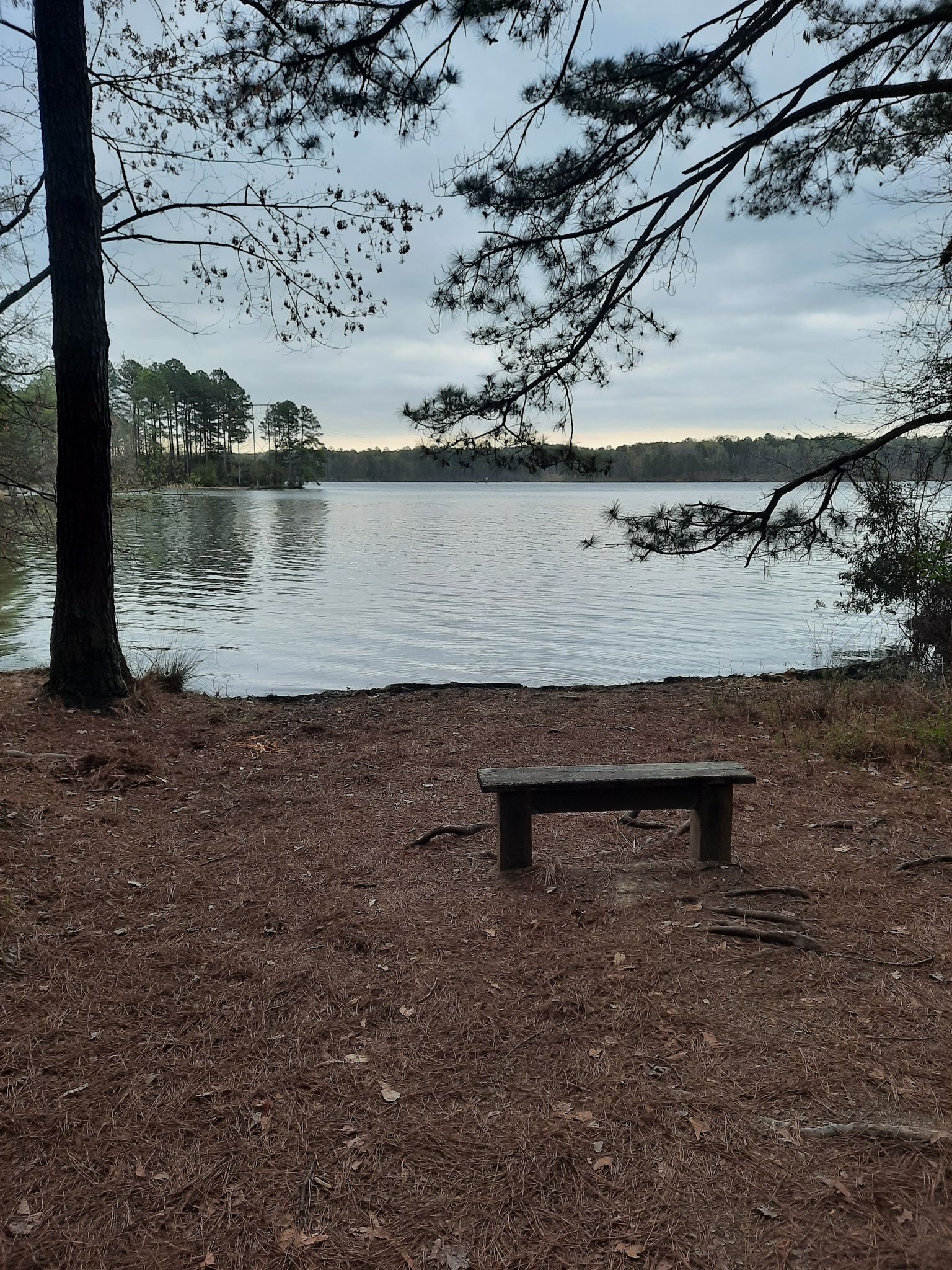 A wooden bench sits by a calm lake, surrounded by trees under a cloudy sky. - Peninsula Trail