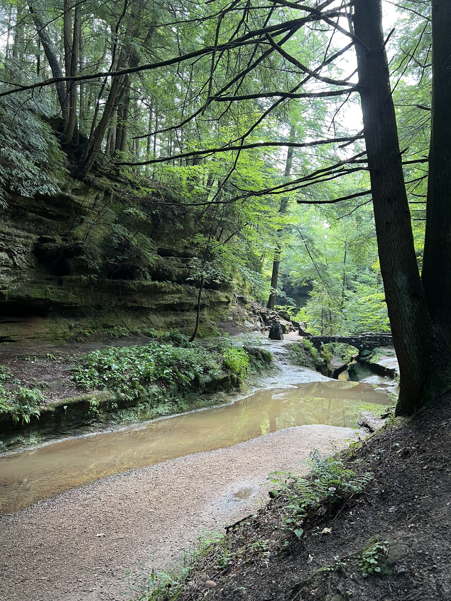 Stream flowing through a rocky gorge with dense green forest and sunlight. - Hocking Hills State Park Highlights from Ash Cave to Old Man's Cave