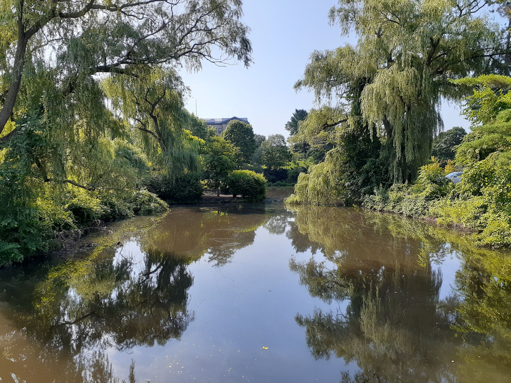 A tranquil pond reflects lush green trees under a clear sky. - North Reservoir loop from Mishawum