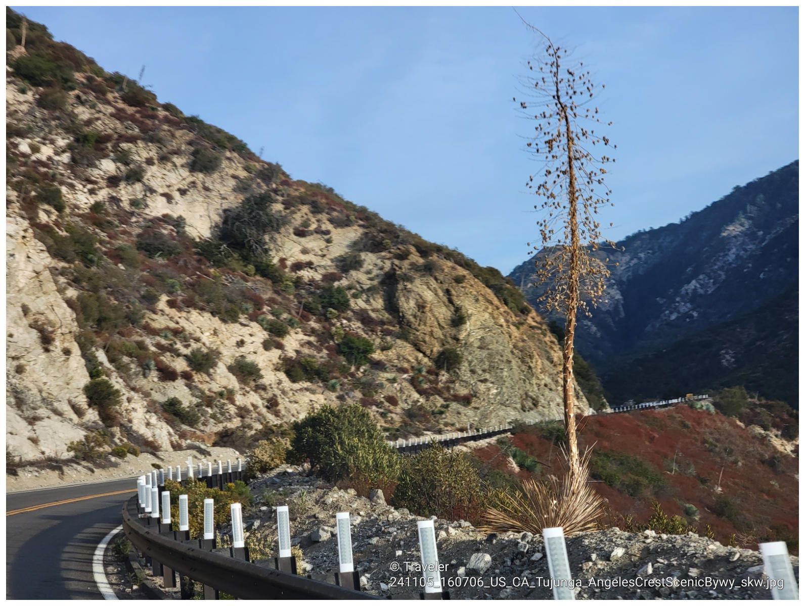 Winding mountain road with a guardrail, steep rocky slopes, and a tall dead plant. - View of Eagle Rock – Brookside Park loop from Highland Park