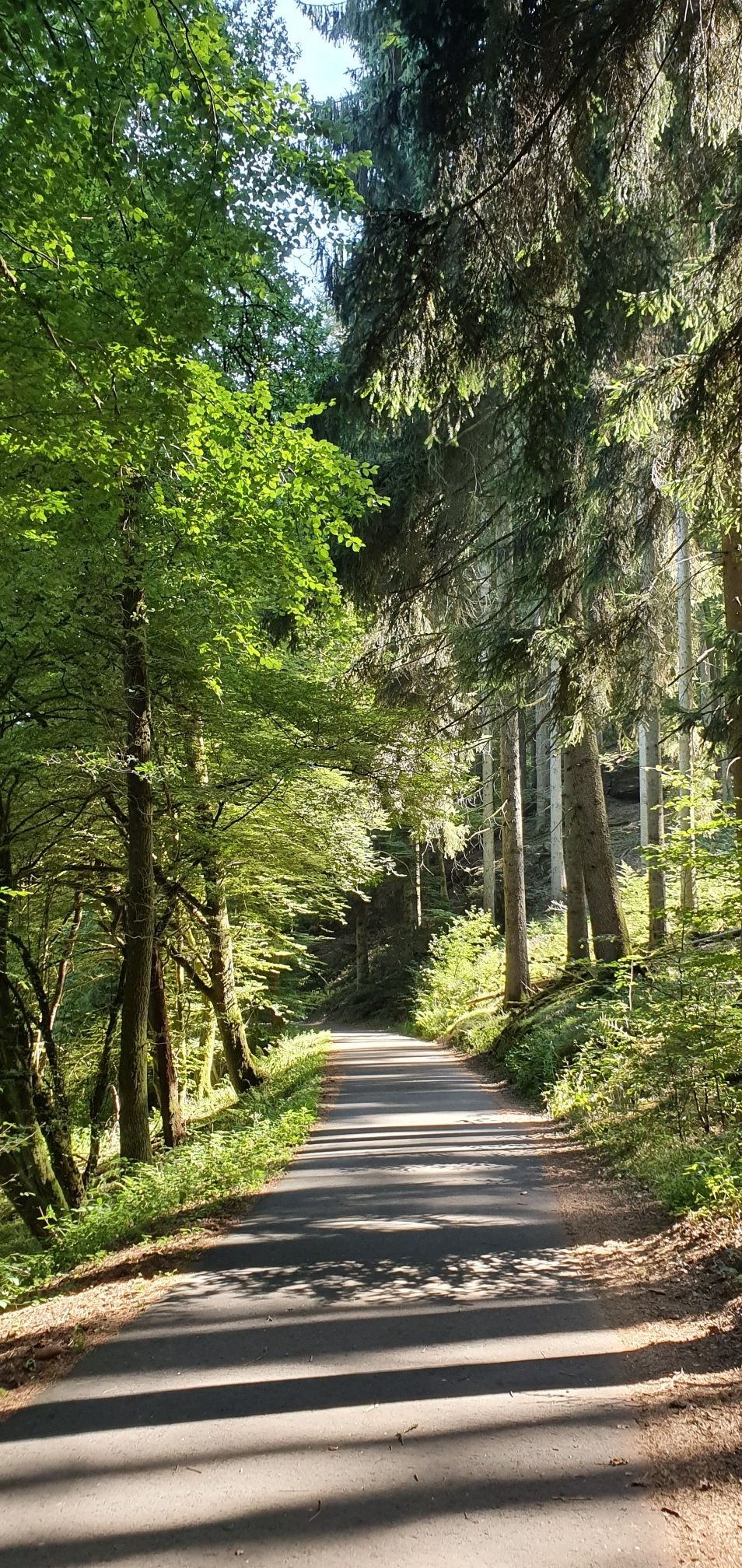 die letzten Meter