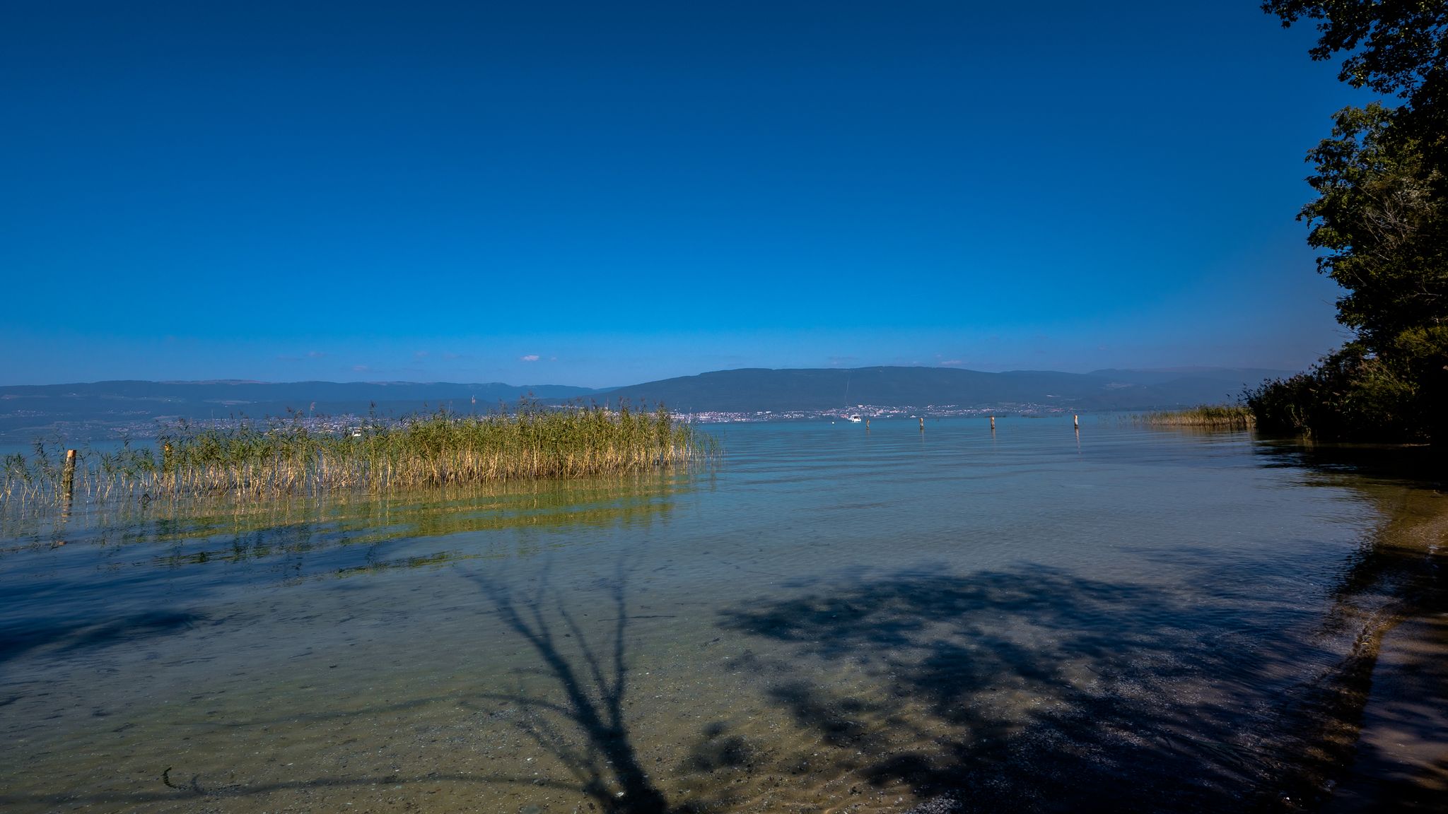 Nautur pur...Neuburgersee im Naturschutzgebiet