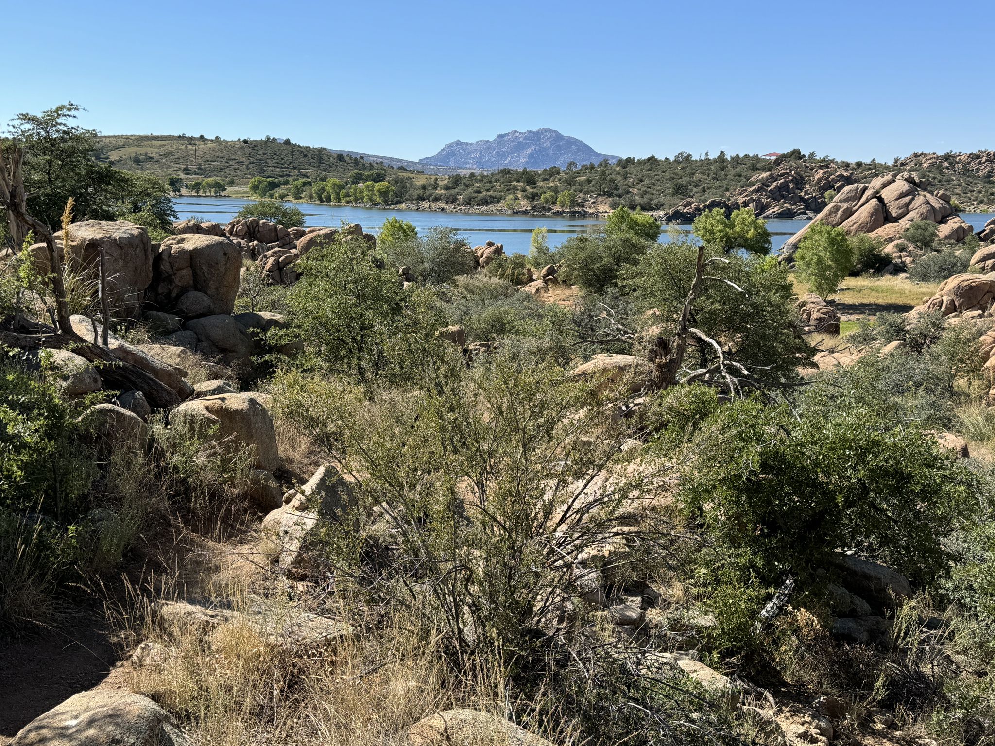 Rocky, shrub-covered landscape overlooking a lake with a mountain in the distance. - Watson Lake Loop Trail