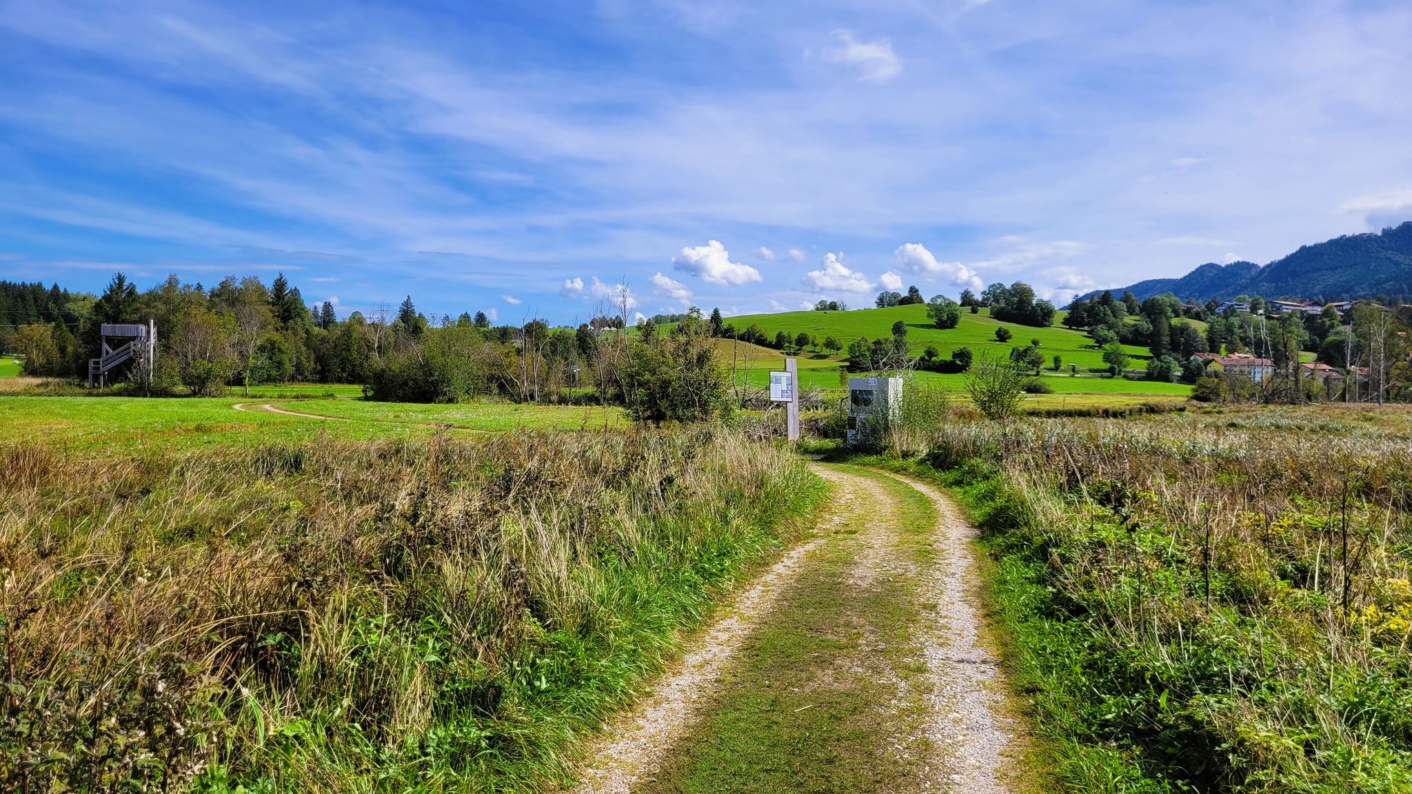 Moor- und Streuwiesenpfad mit Lernstationen und Aussichtsturm (hinten links)