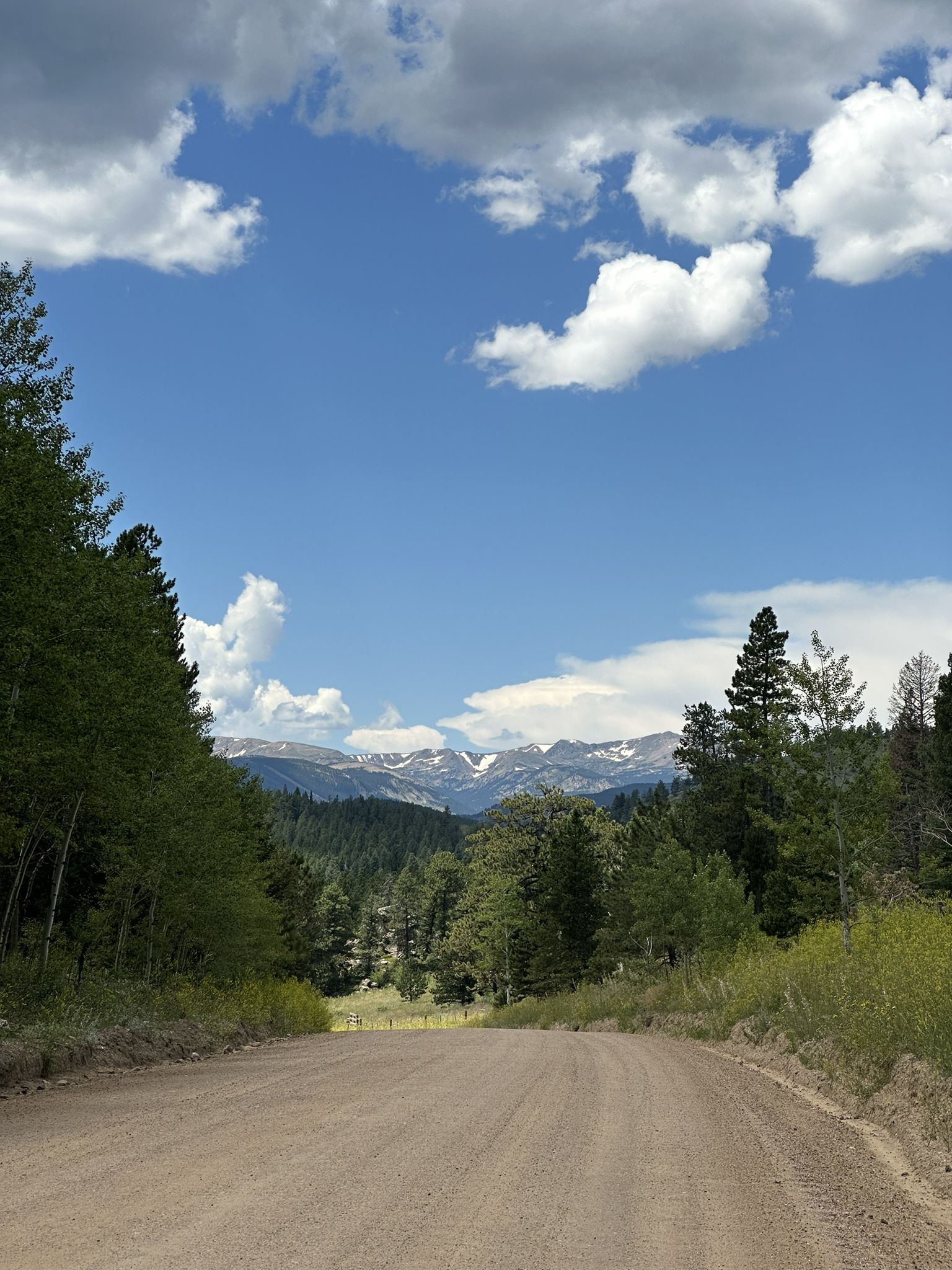 A dirt road leads towards distant mountains and green forests under a blue sky. - Rollinsville & Barker Reservoir loop from Nederland