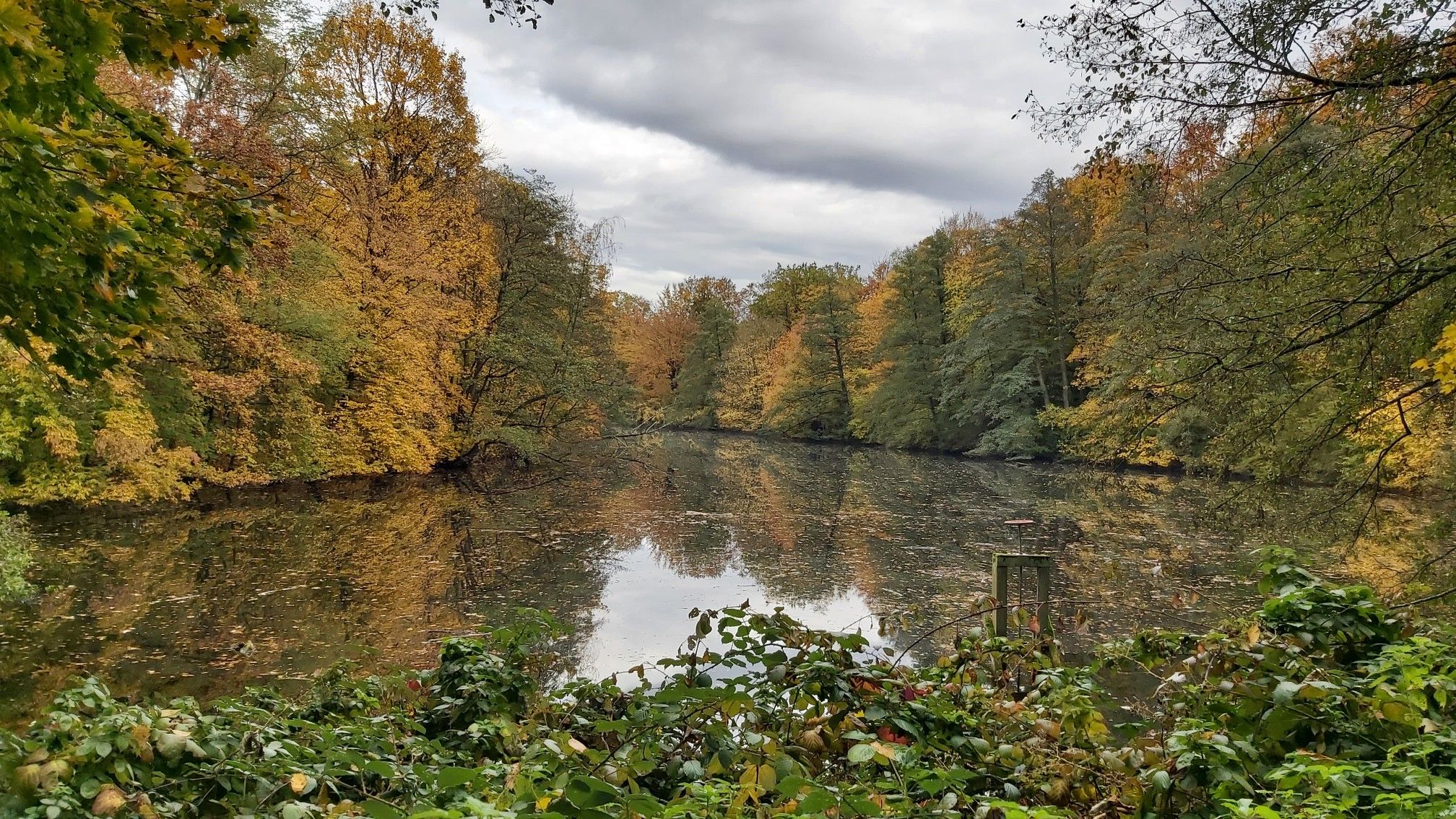 Jacobiweiher