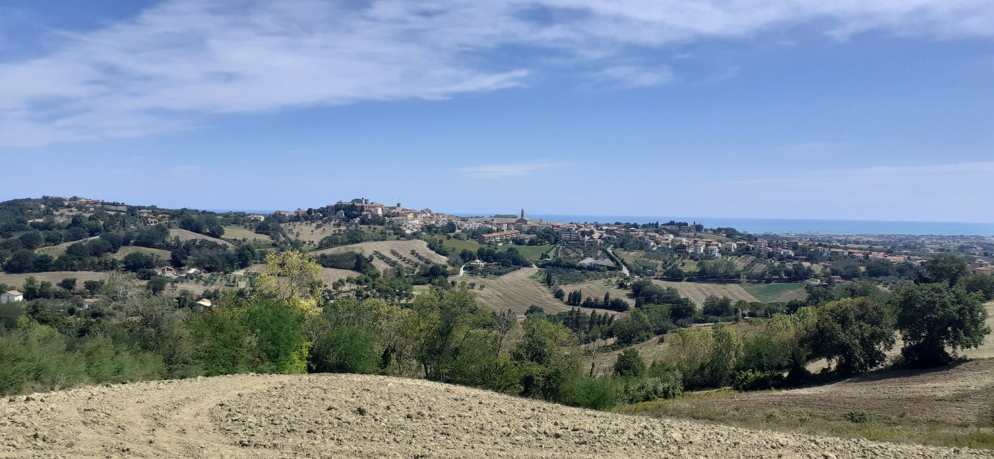 Mondolfo
