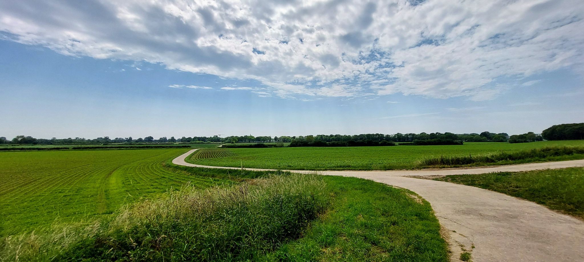 Via een betonnen (geen asfalt) weg de uiterwaarden in