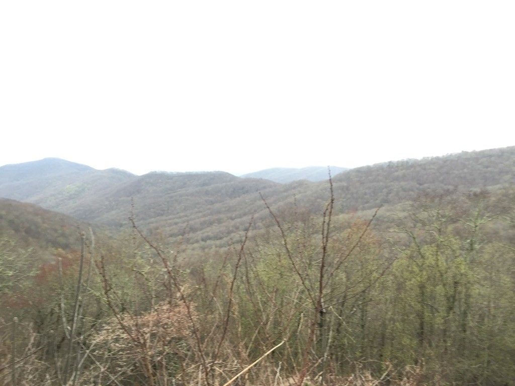 Overcast view of rolling mountains with bare trees in the foreground. - Jenkins Creek & Blue Ridge Parkway loop