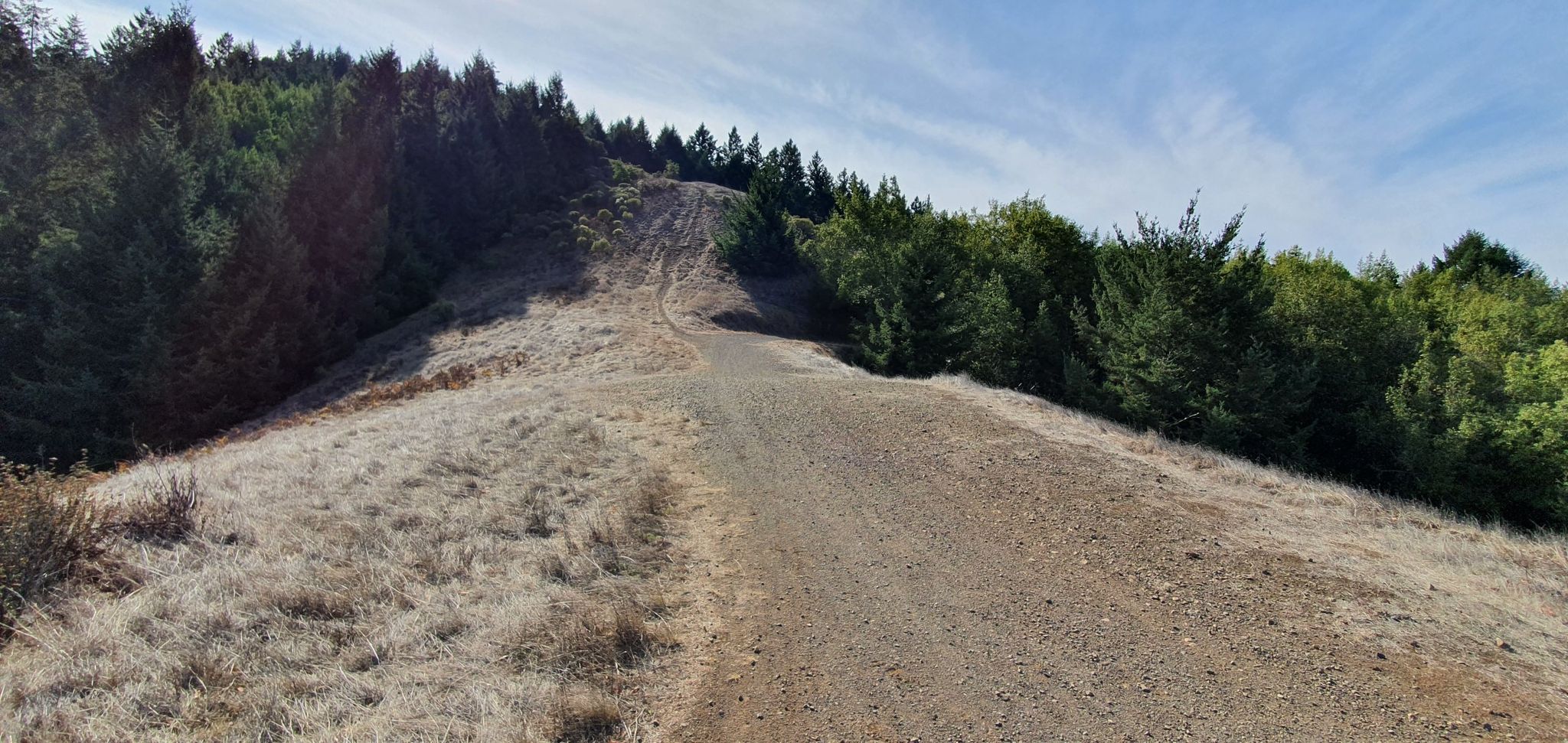 A dirt road ascends a dry grassy hill flanked by green trees under a bright sky. - Tamarancho to Cascade Fire Road loop