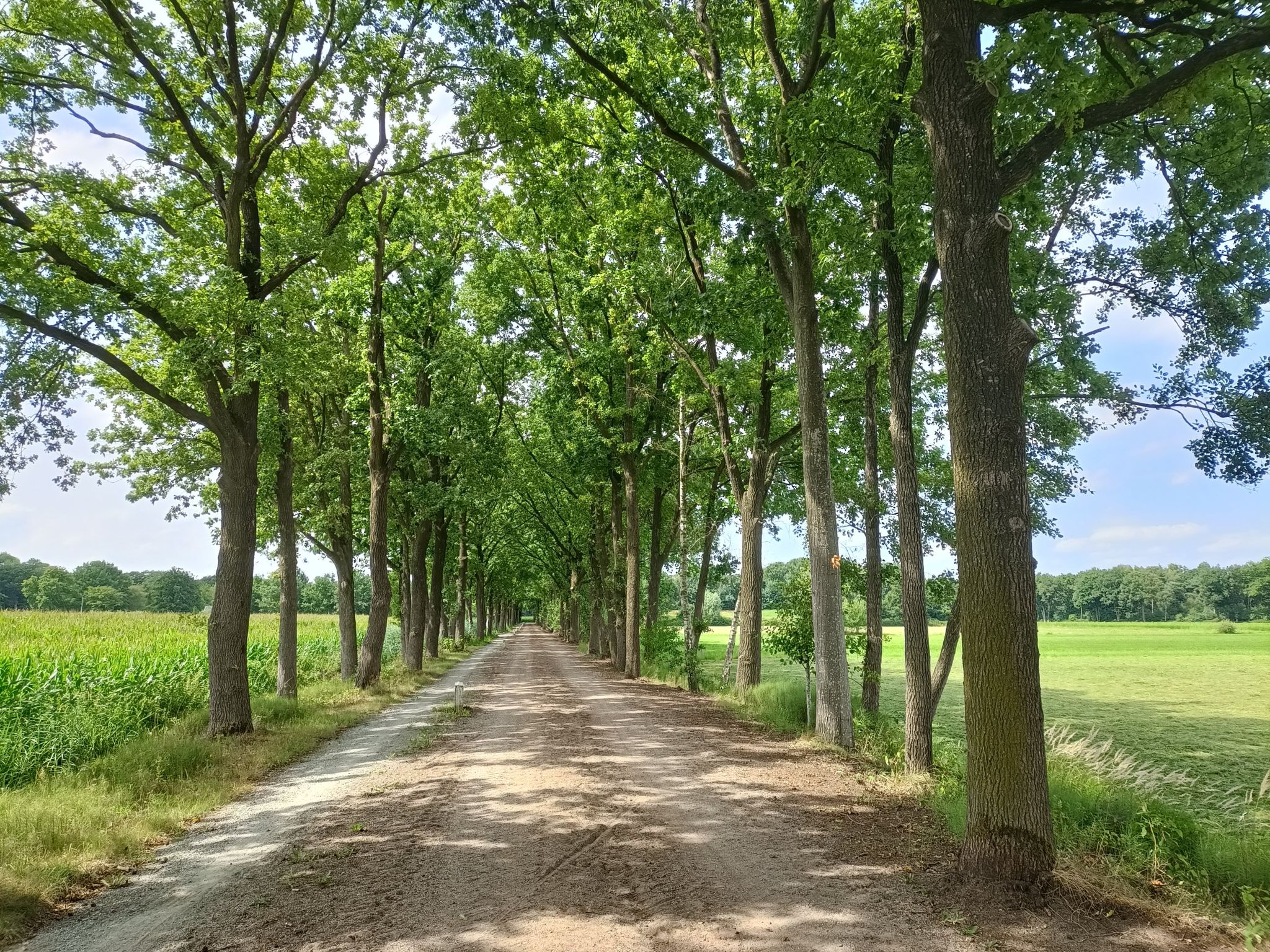 Lange gravelweg
