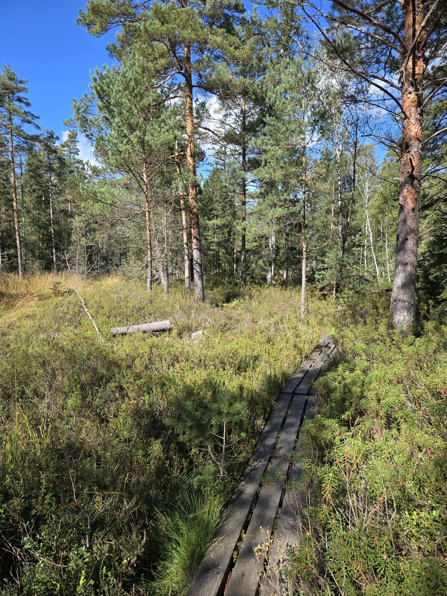 Natur so weit das Auge reicht