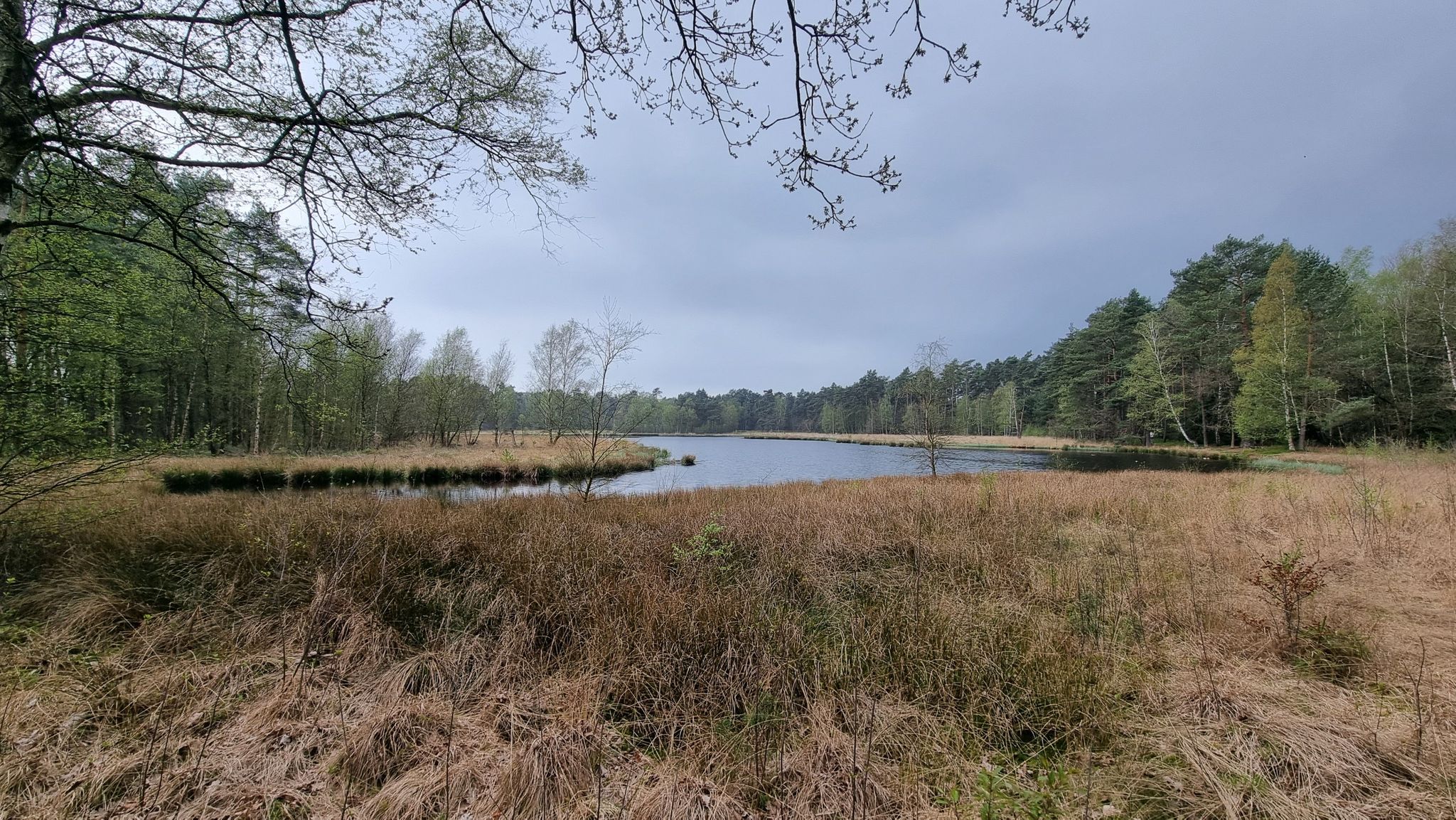 Am Ahlener Flatt (eiszeitlicher Heide-Weier)