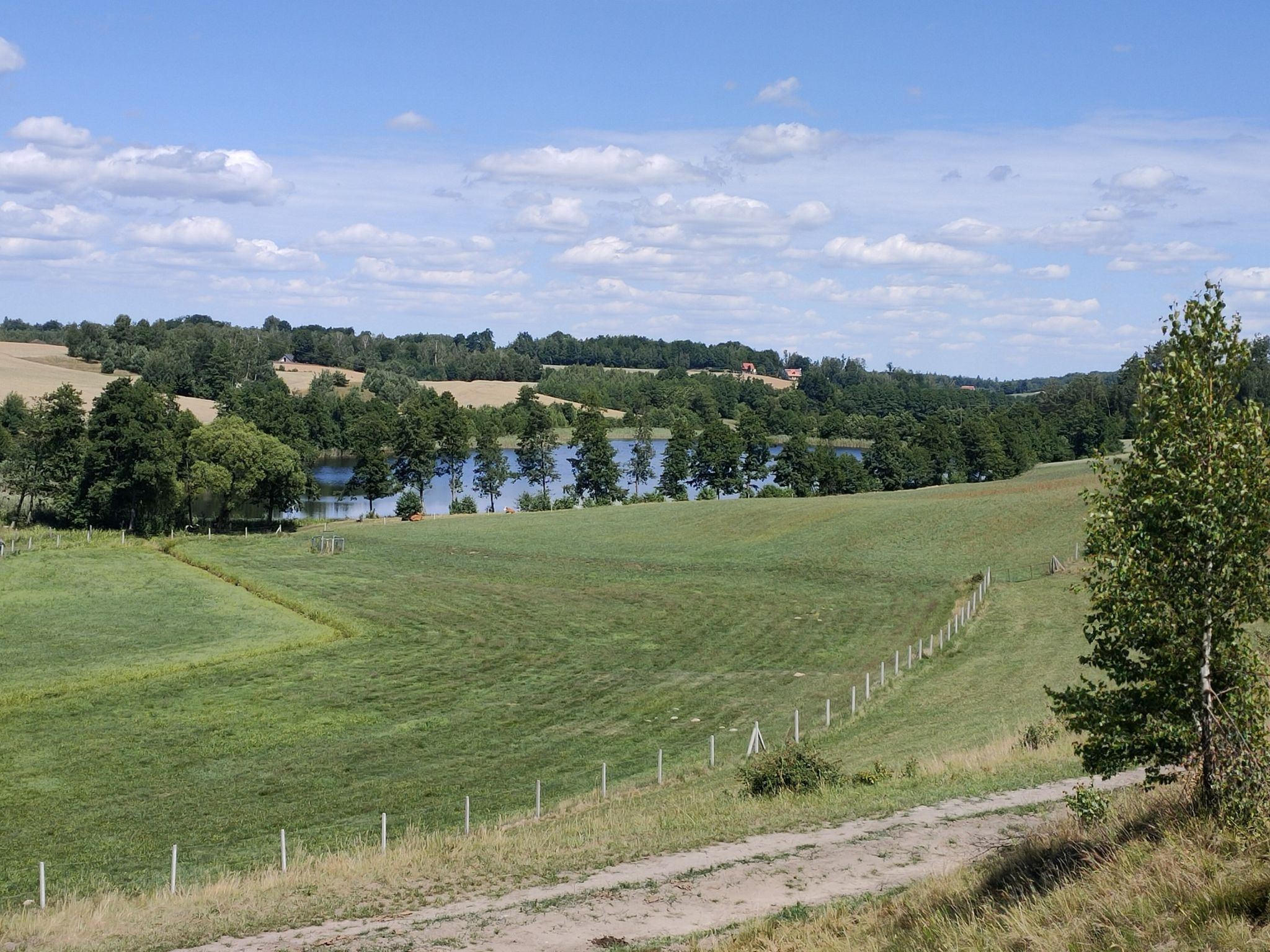 Widoczek na jezioro "Golinowskie"