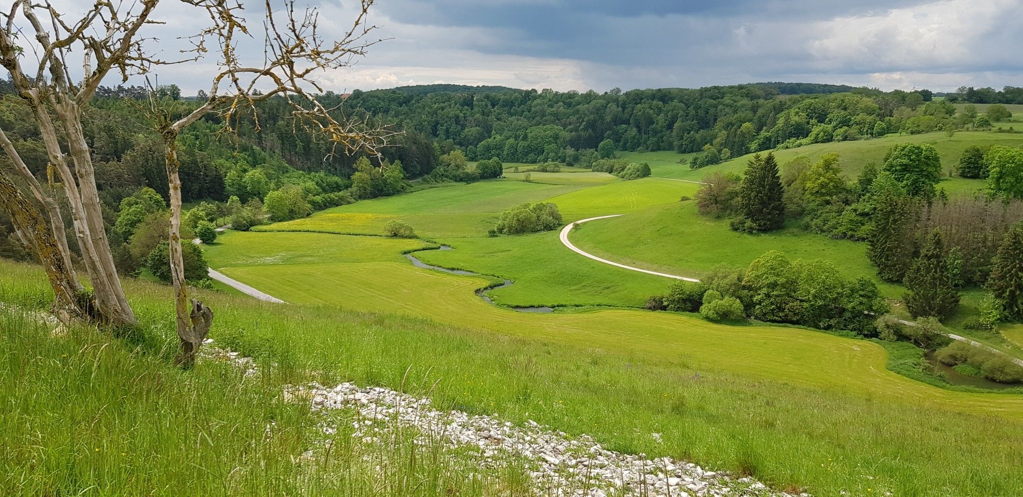 Bechtaler Weiher
