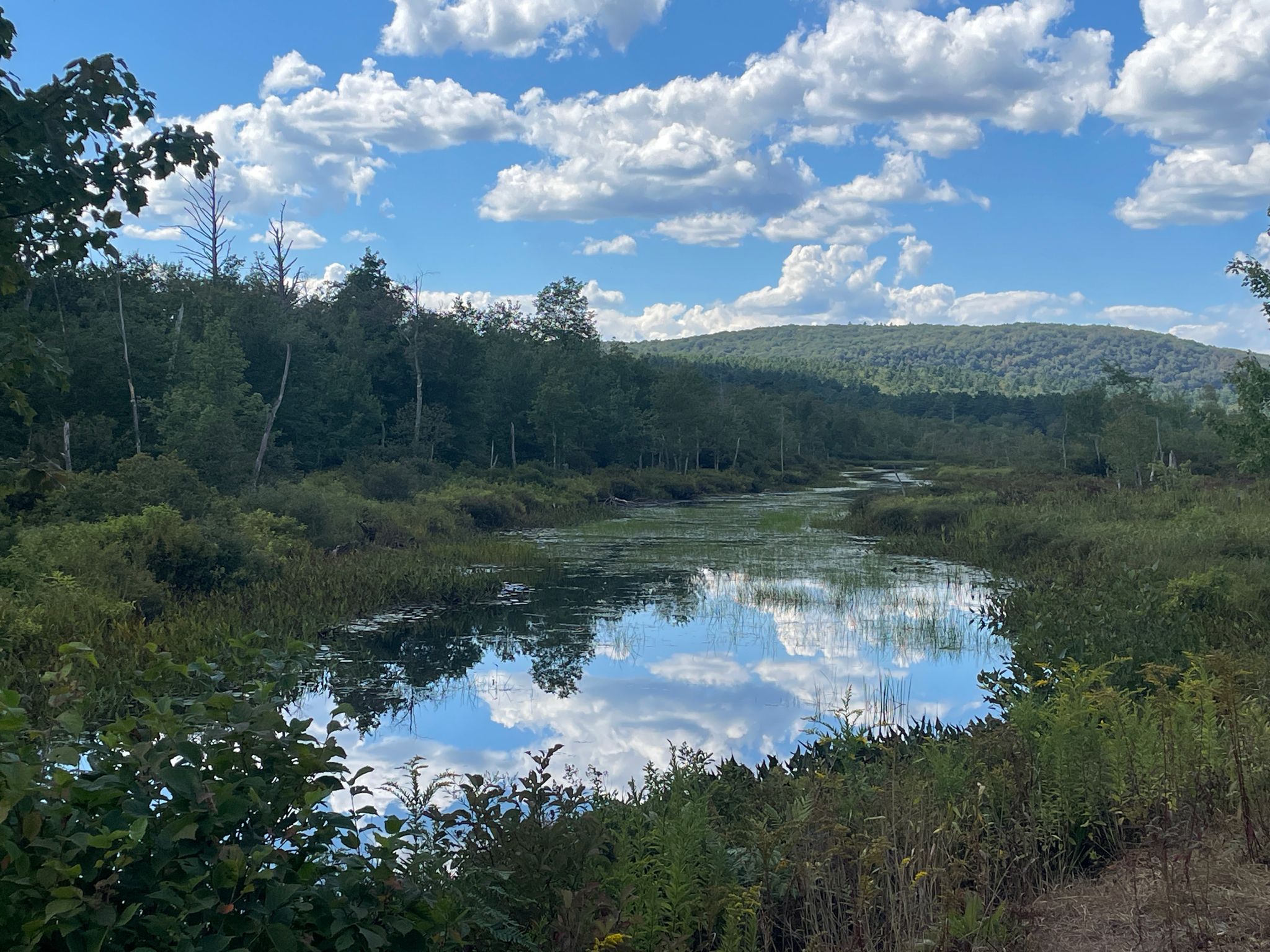 Calm river reflecting a cloudy sky, surrounded by green trees and hills. - Rock Railroad Cut loop from Danbury