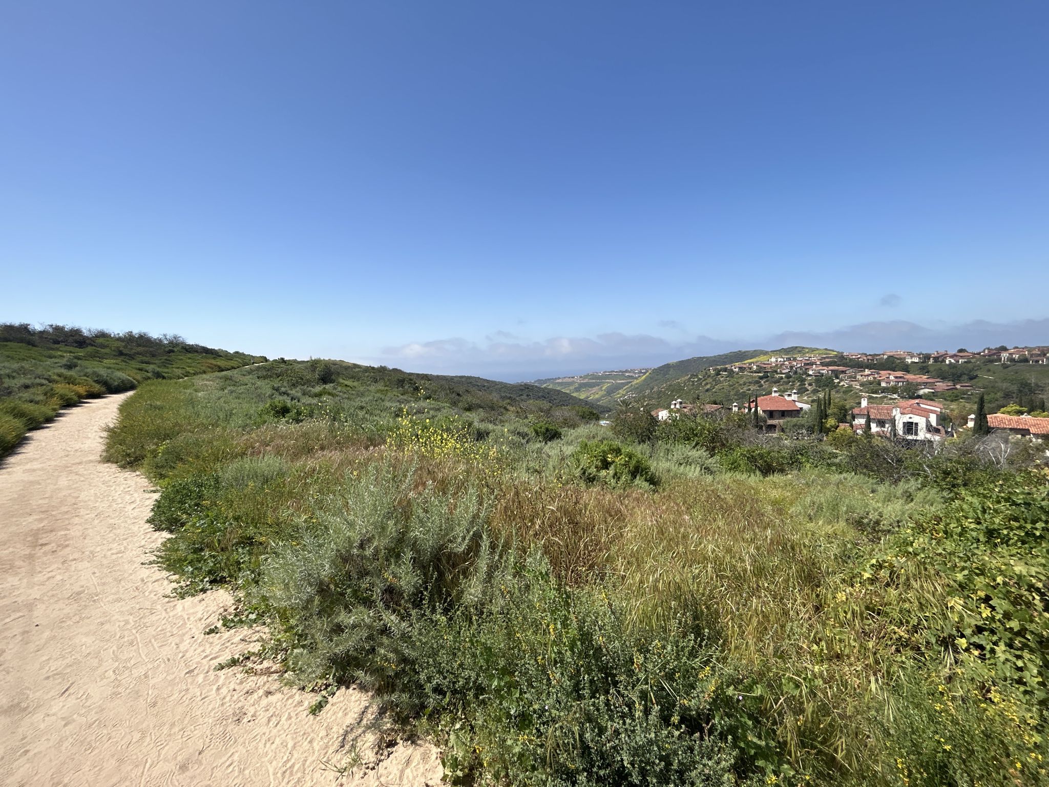 Dirt path overlooking a valley with houses and distant mountains under a clear sky. - No Name Ridge and El Moro Canyon Loop